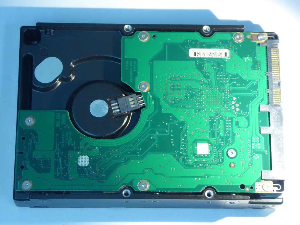 DELL ST3300656SS 9CH066-050 Drives