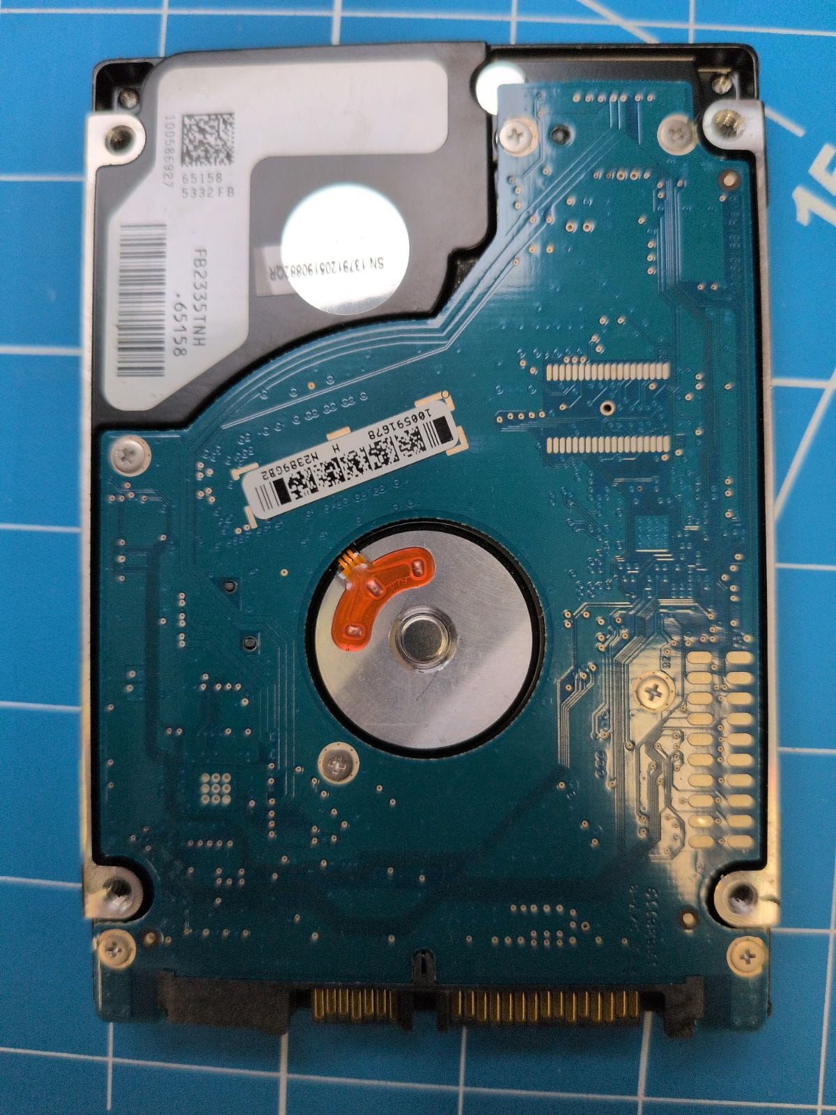 SG10 drive label (back)