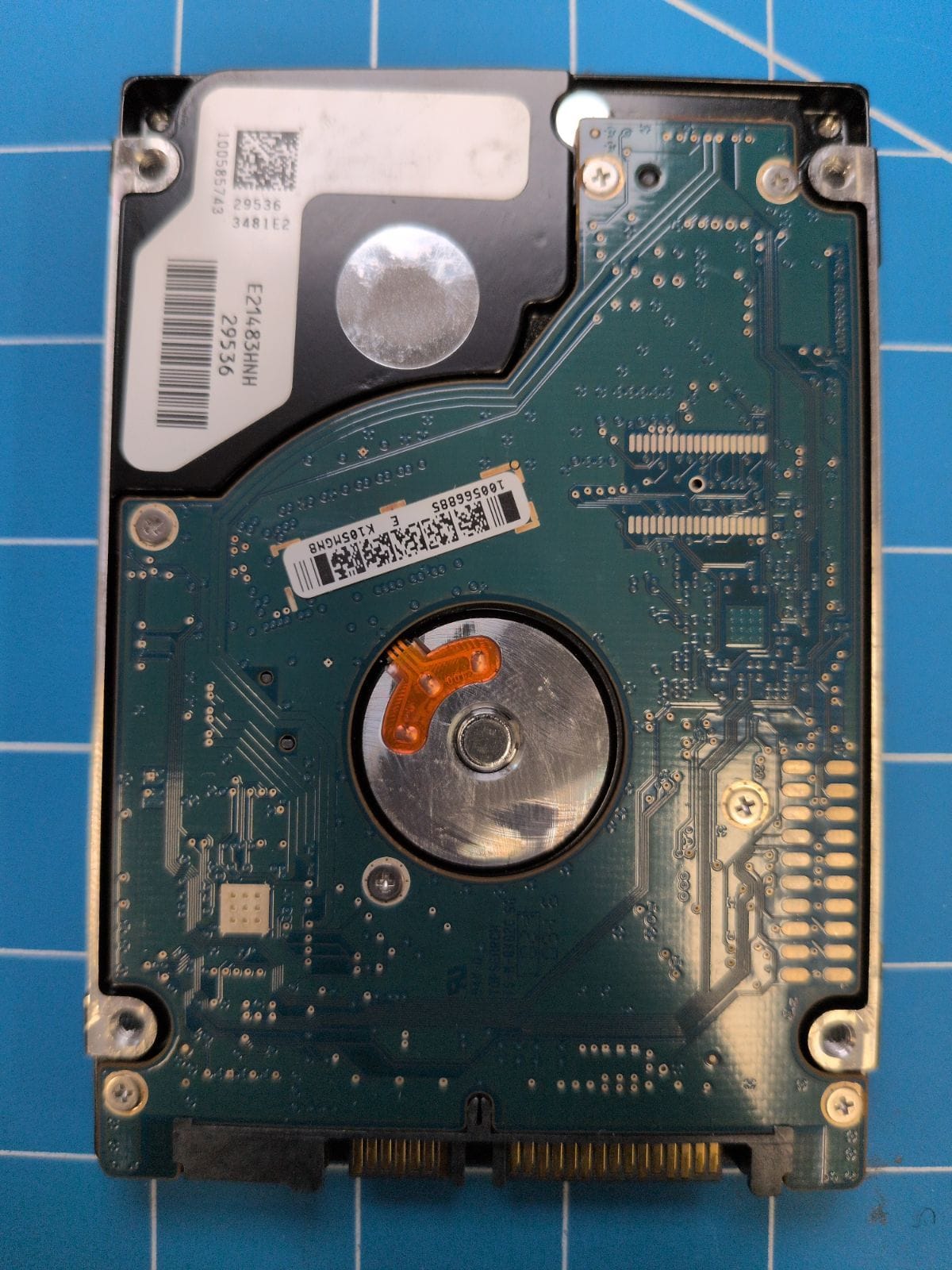 SG115 drive label (back)