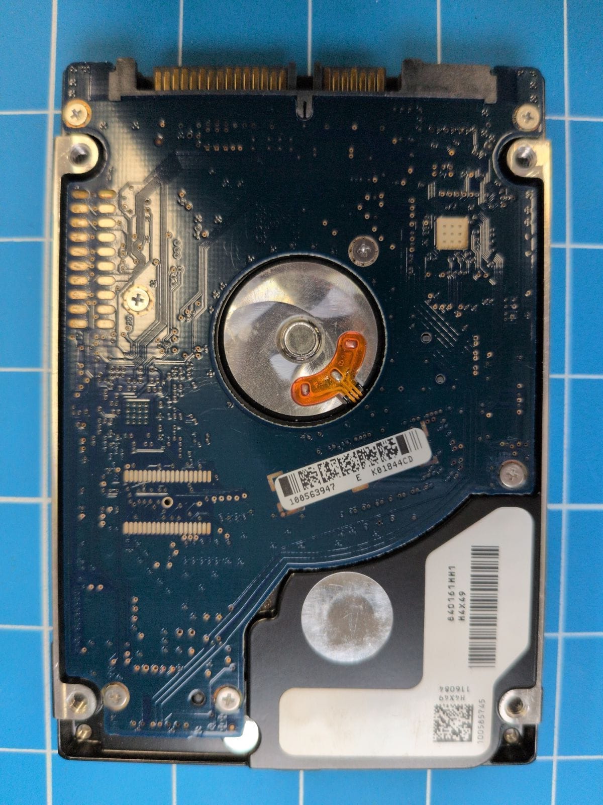 SG116 drive label (back)