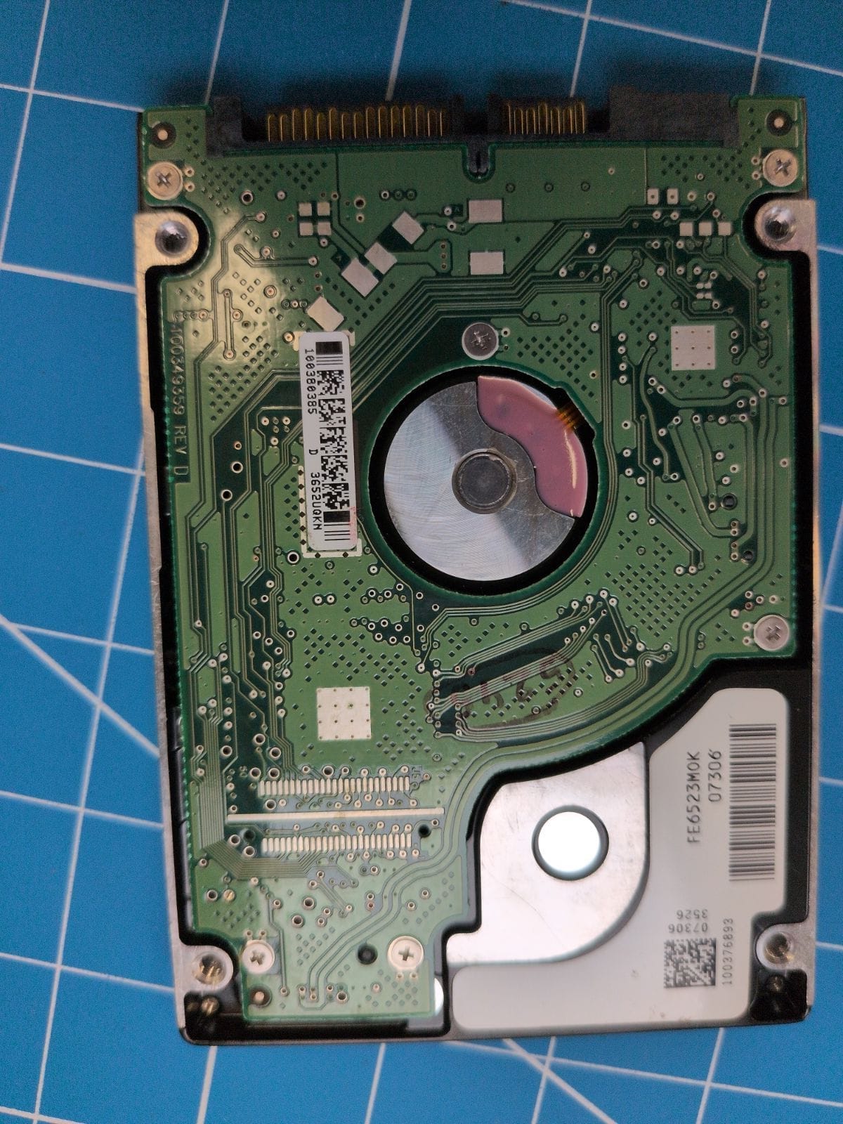 SG14 drive label (back)