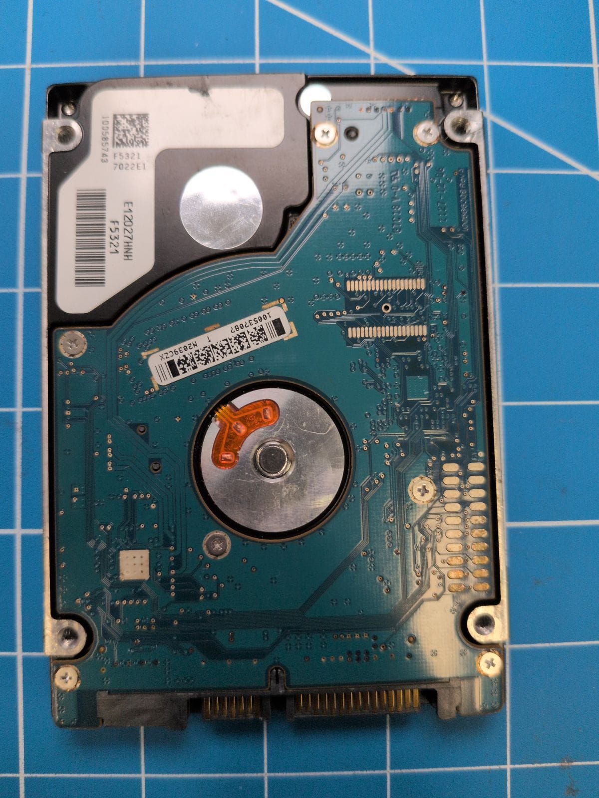 SG169 drive label (back)