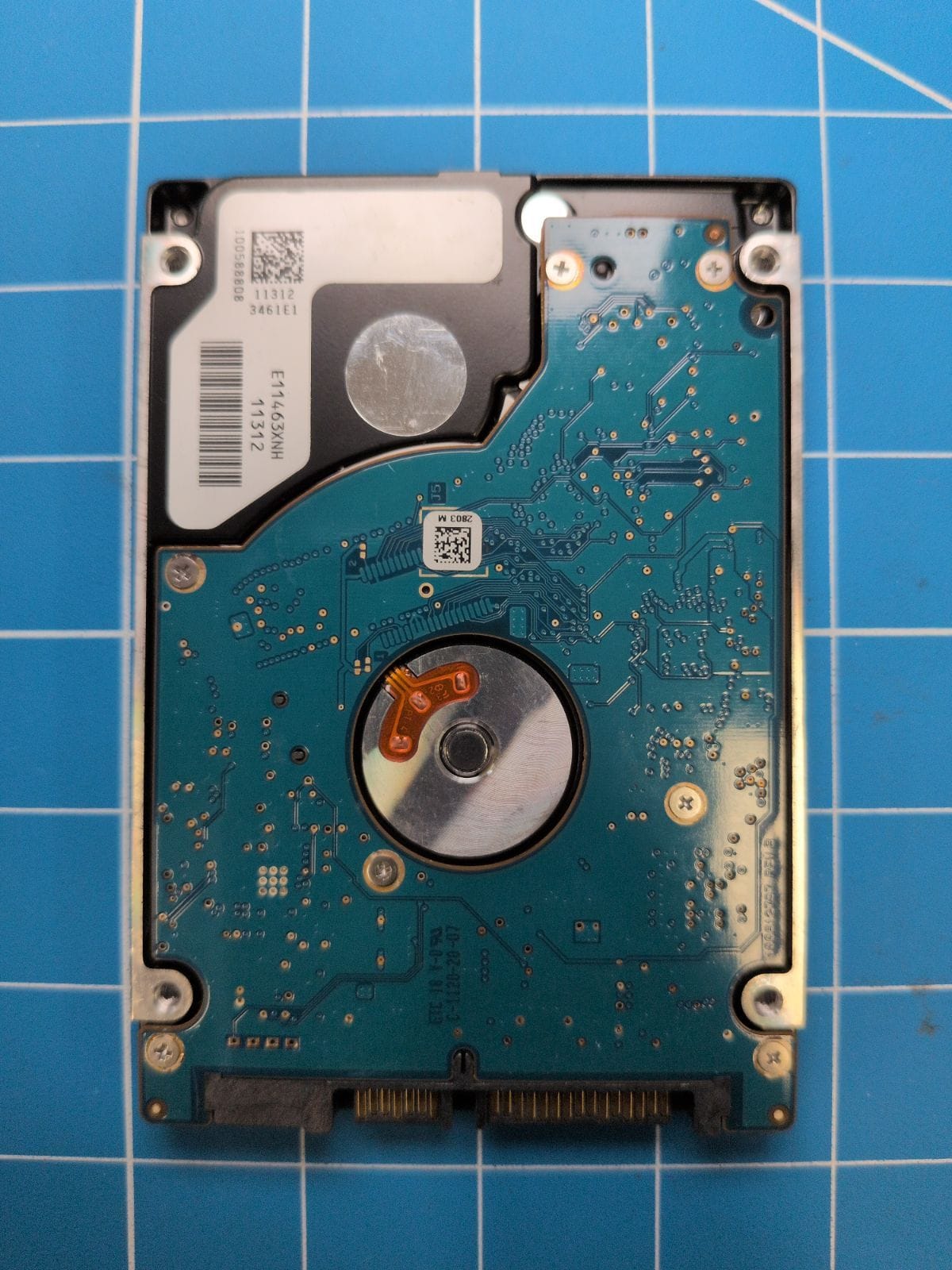 SG199 drive label (back)