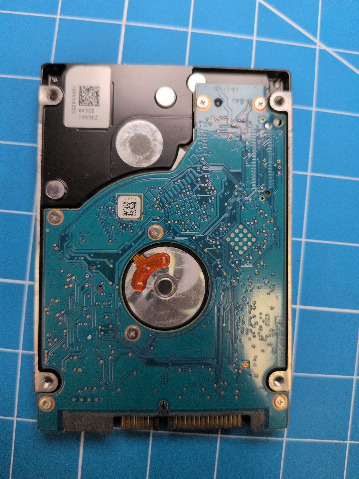 SG202 drive label (back)