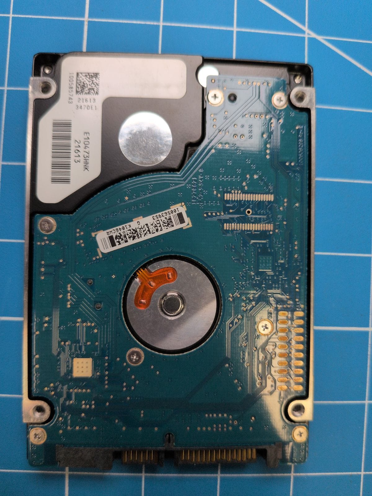 SG203 drive label (back)