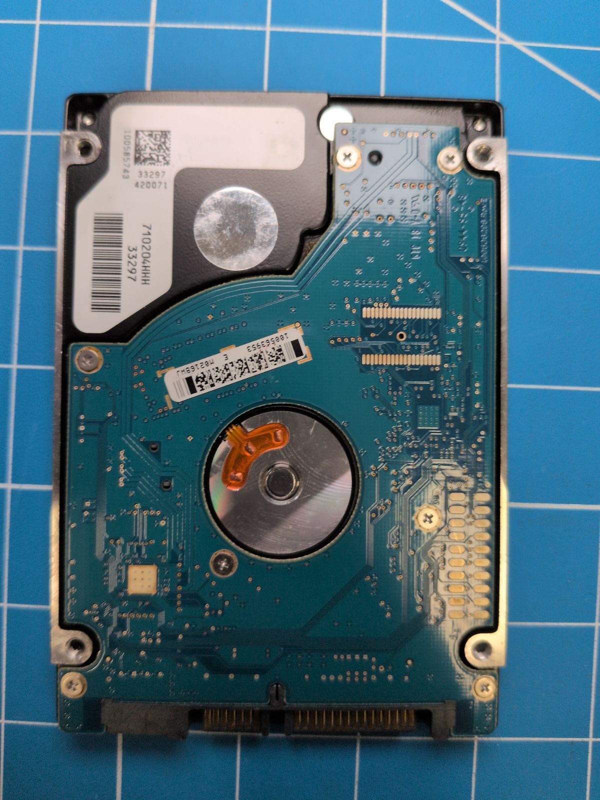 SG204 drive label (back)
