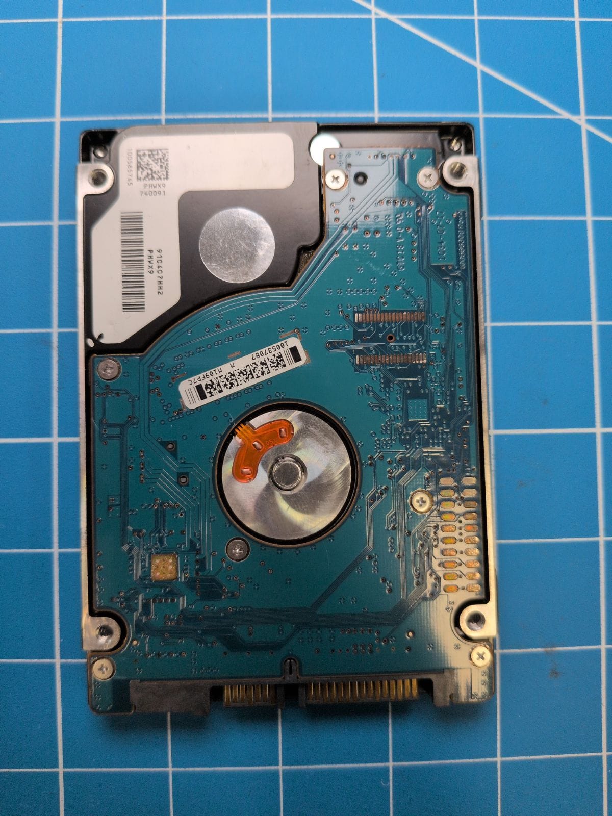 SG209 drive label (back)