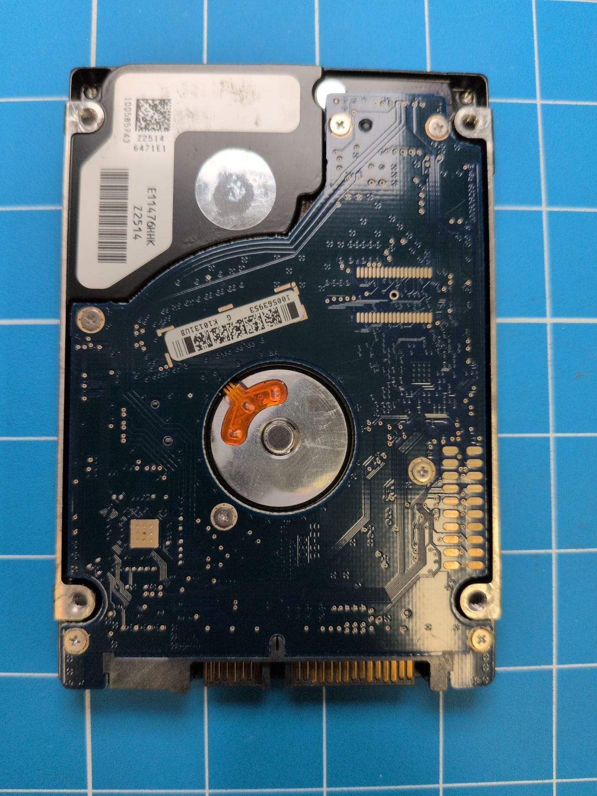 SG213 drive label (back)