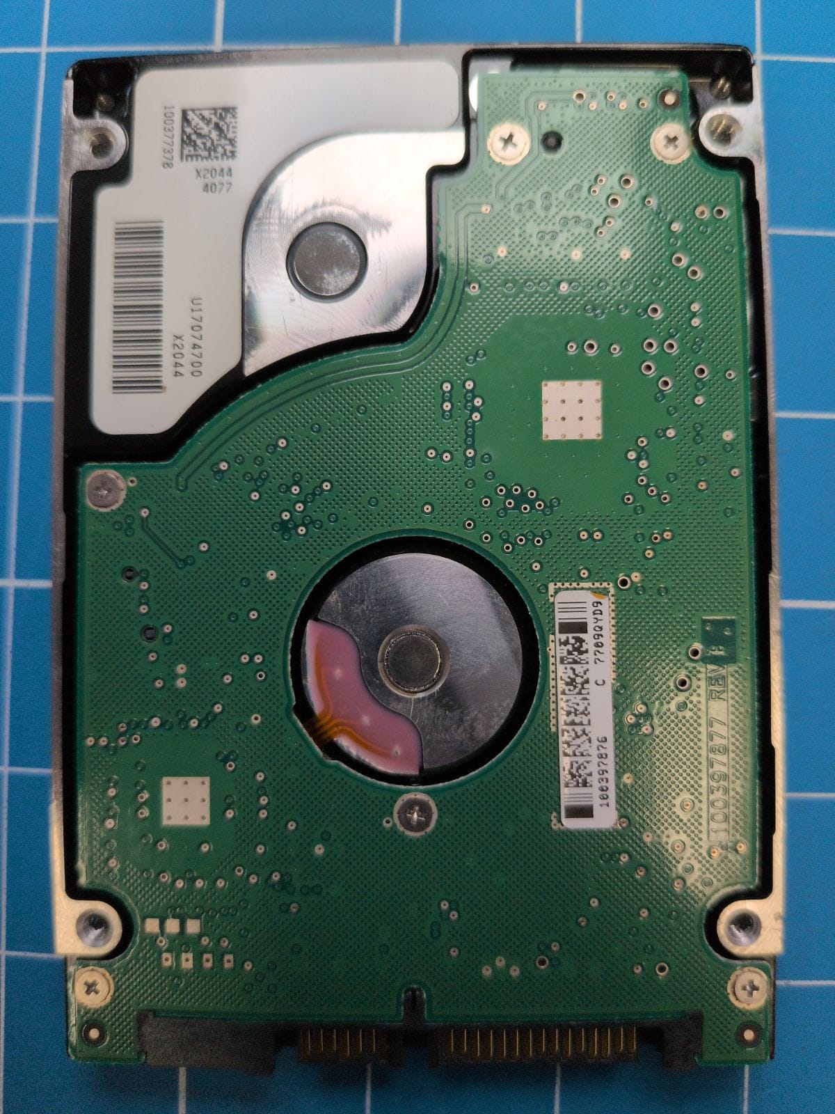 SG267 drive label (back)