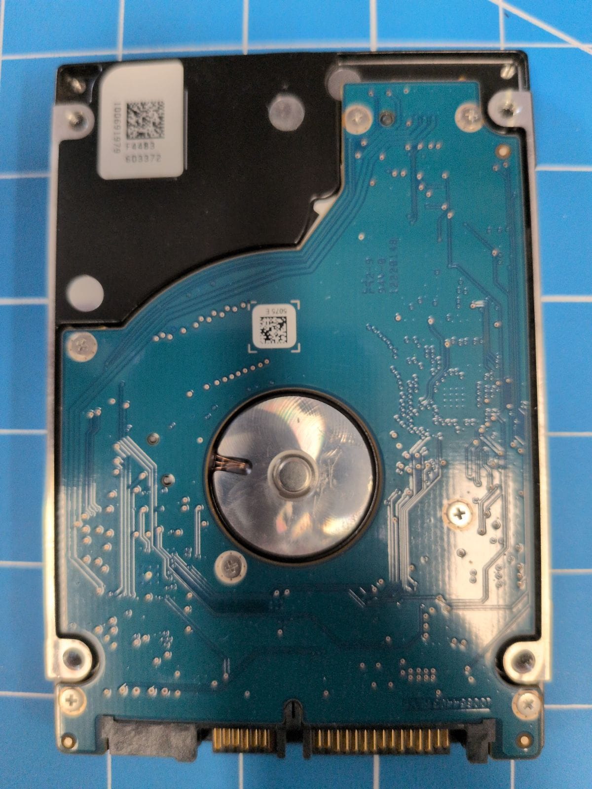 SG299 drive label (back)