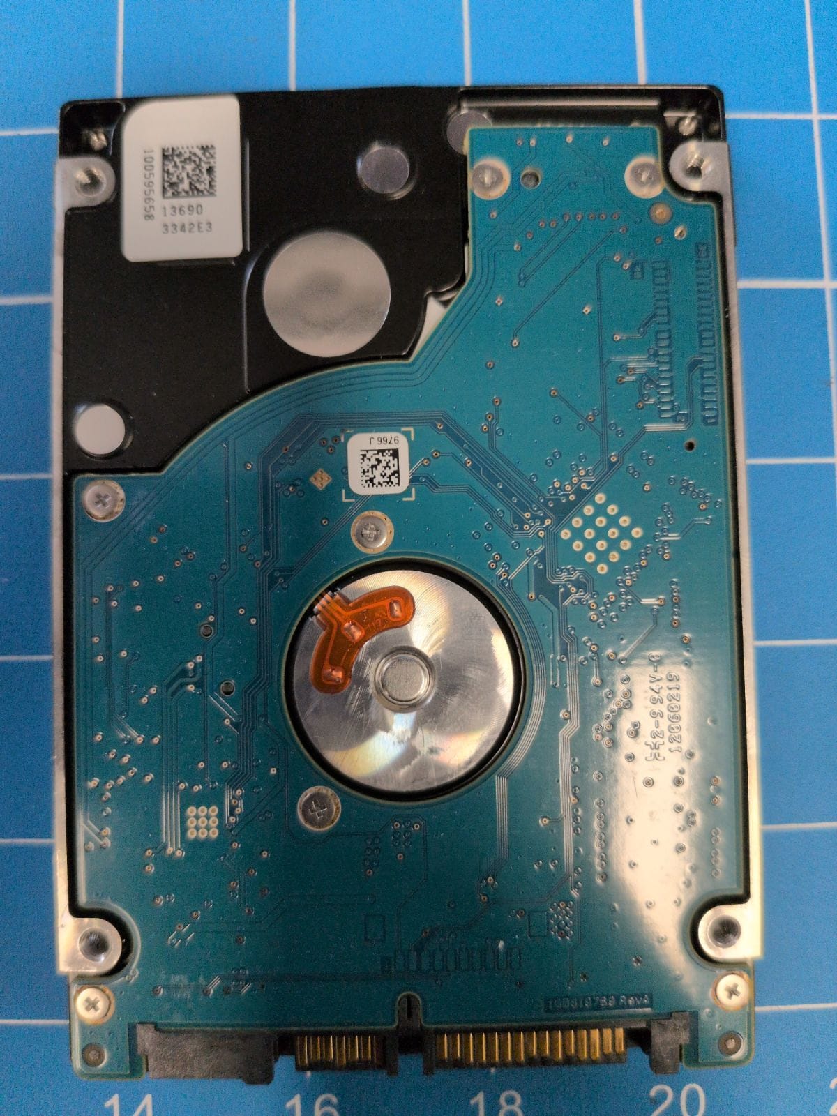 SG304 drive label (back)