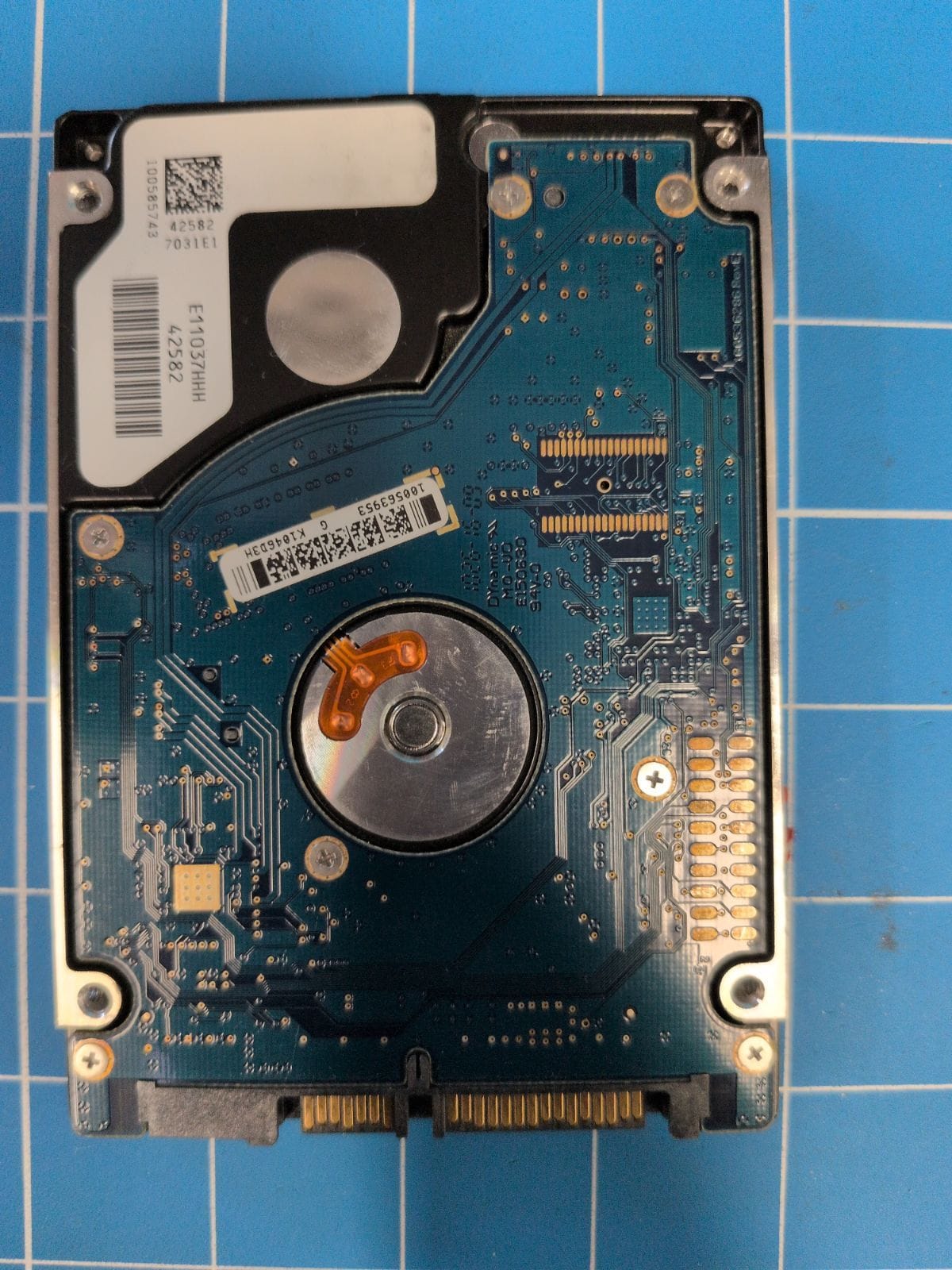 SG317 drive label (back)