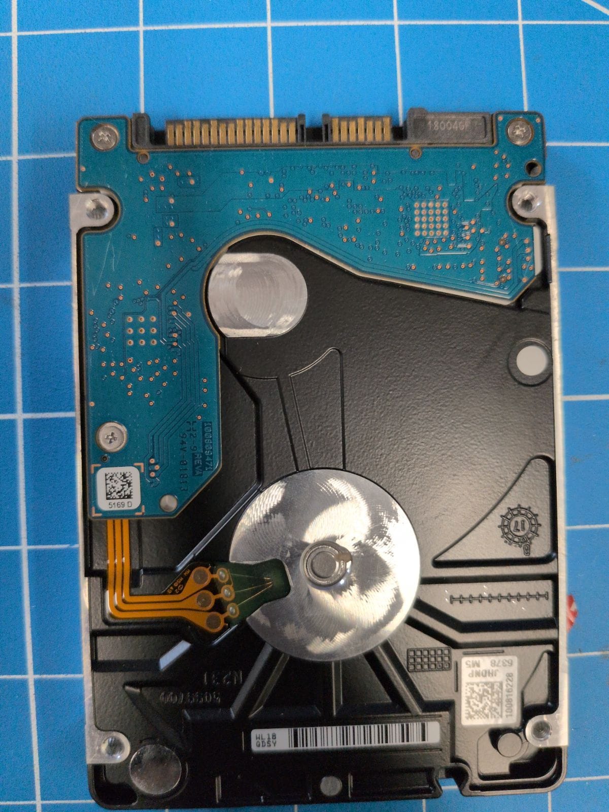 SG319 drive label (back)
