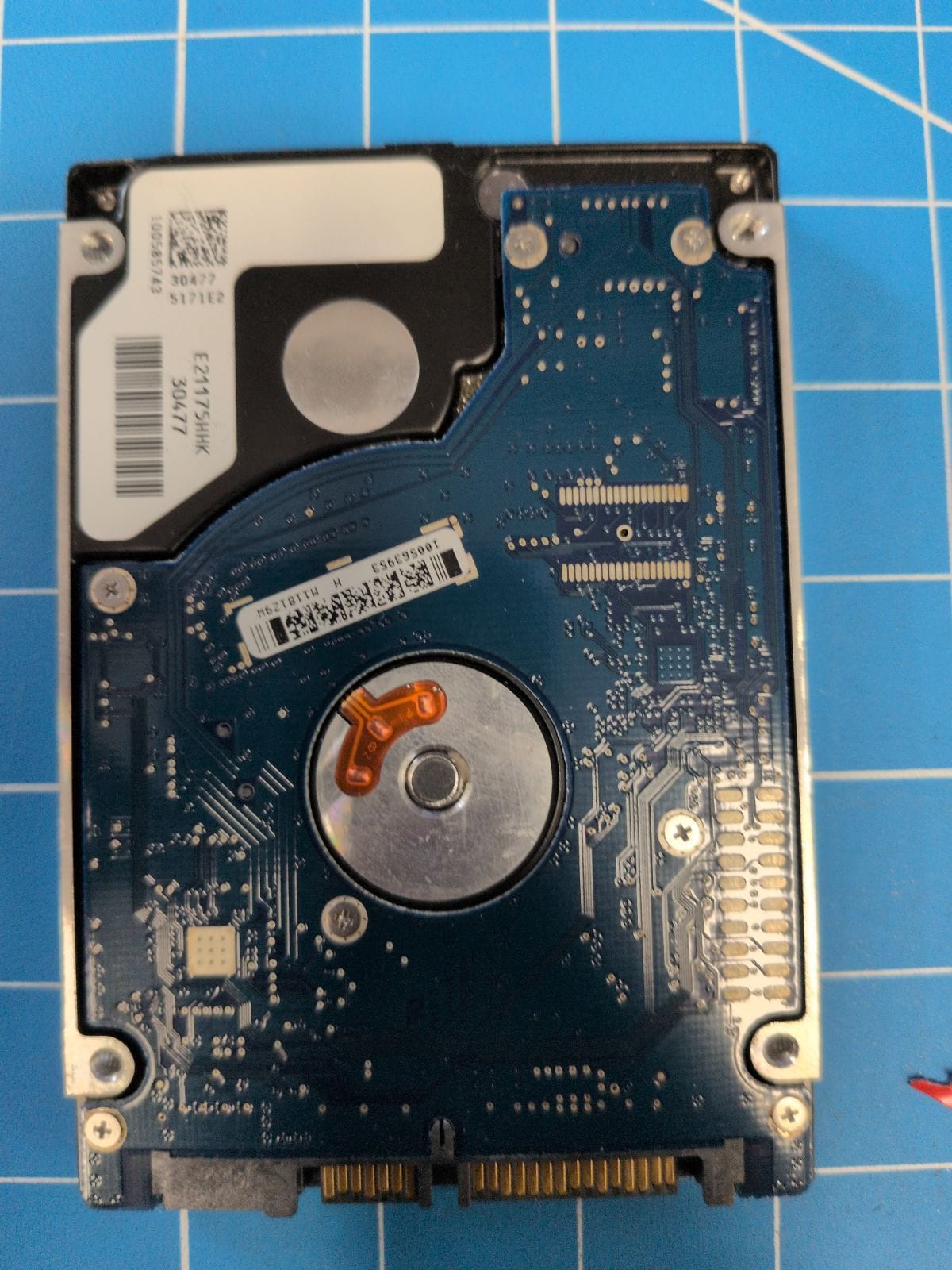 SG323 drive label (back)