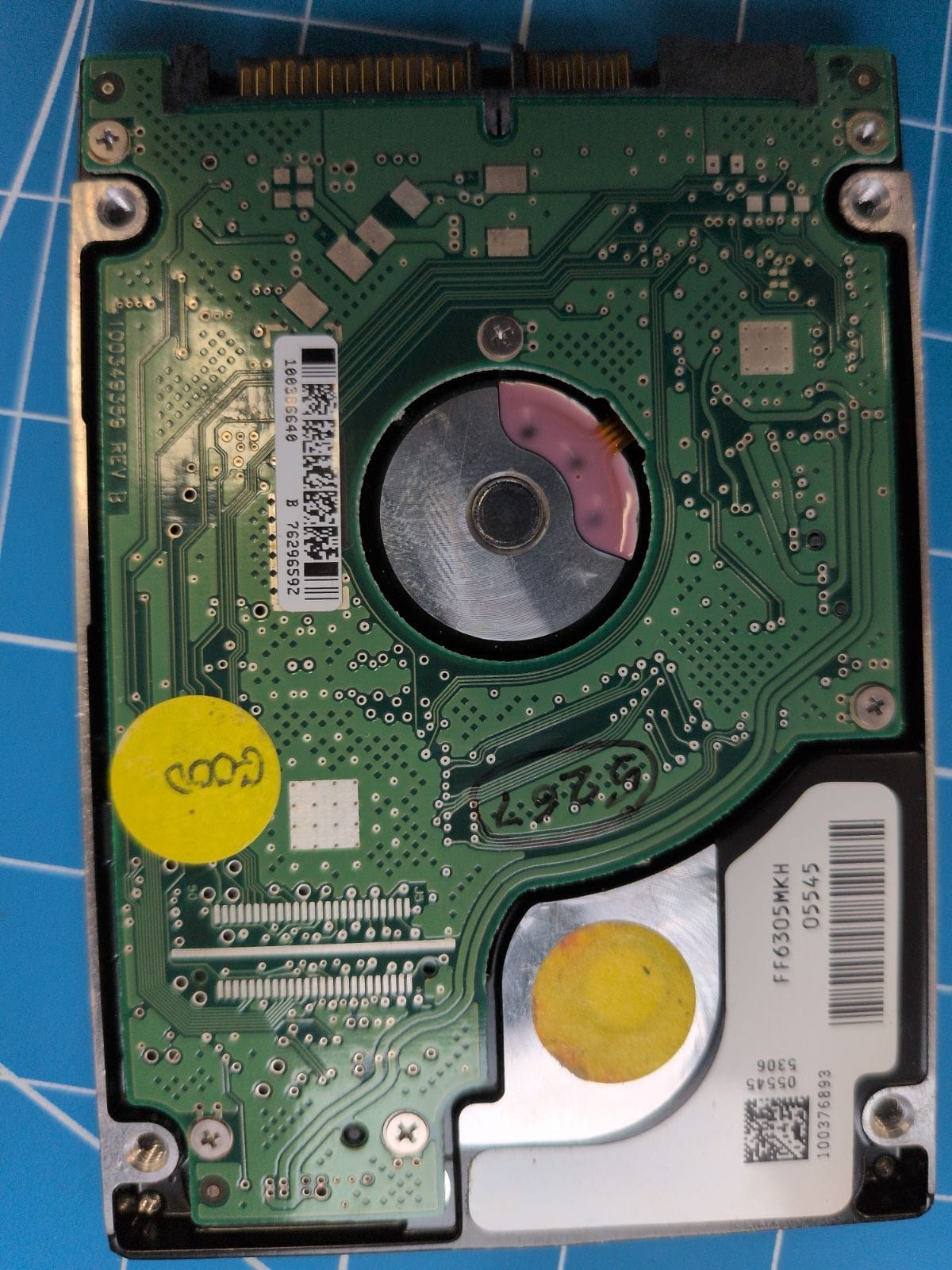 SG36 drive label (back)