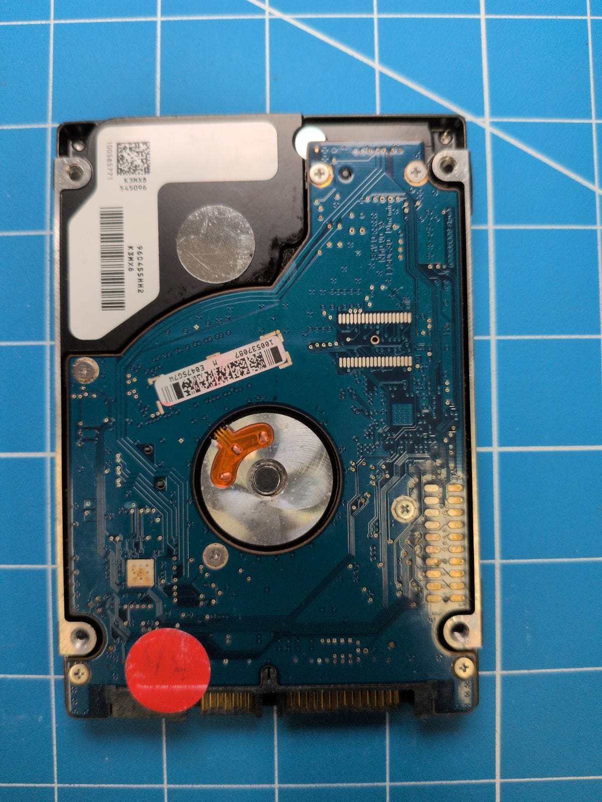 SG389 drive label (back)