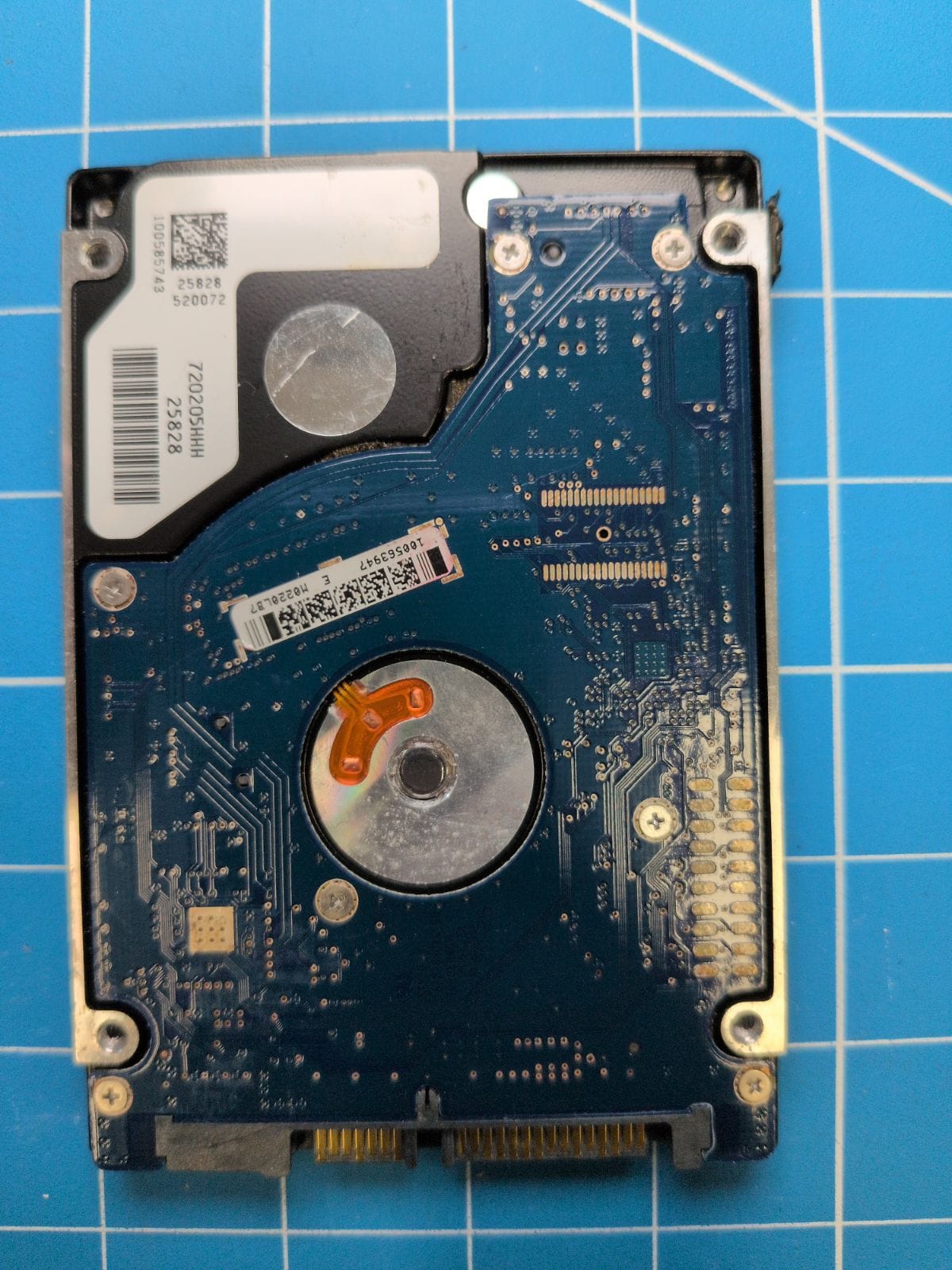 SG392 drive label (back)