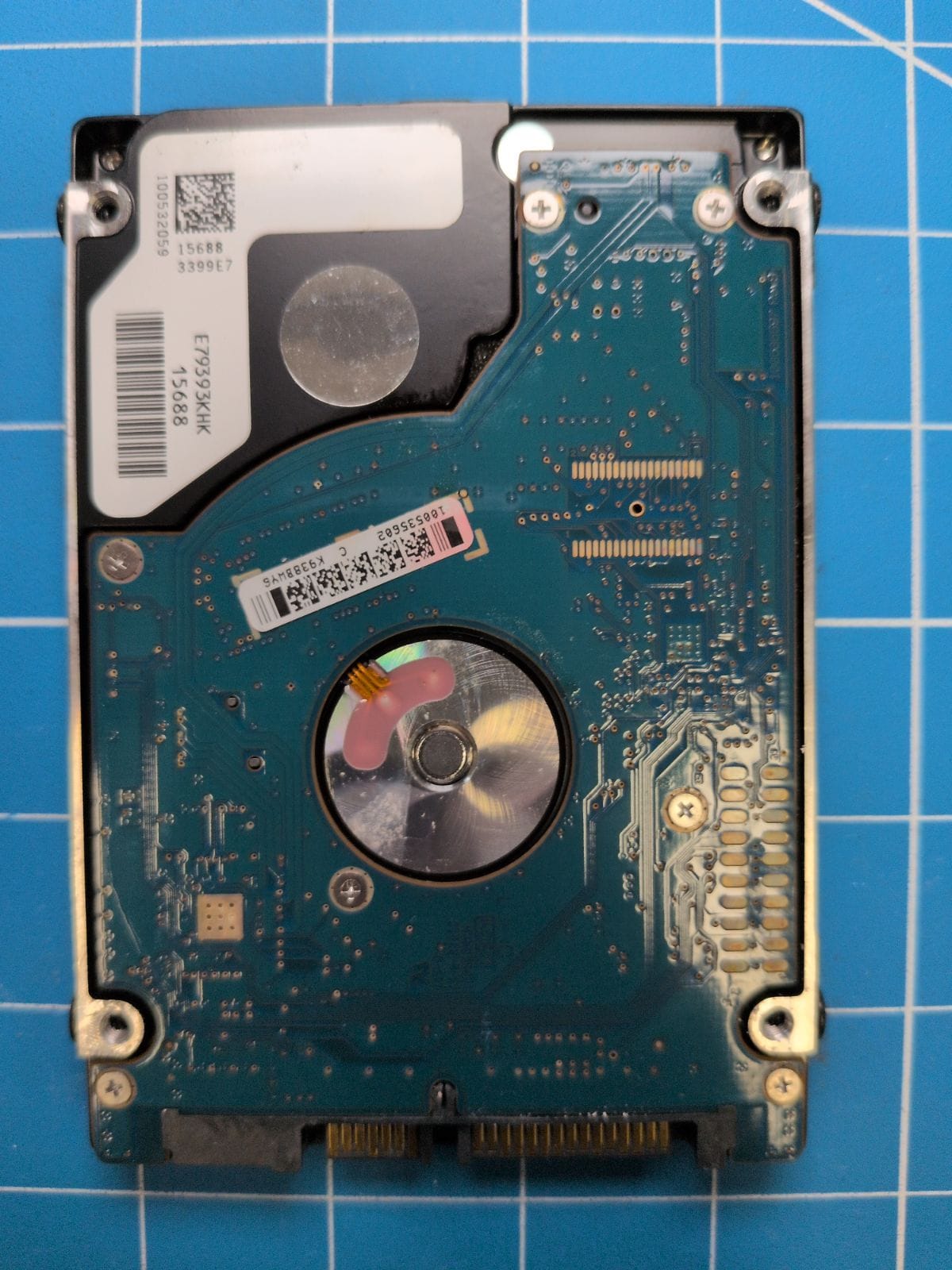 SG394 drive label (back)