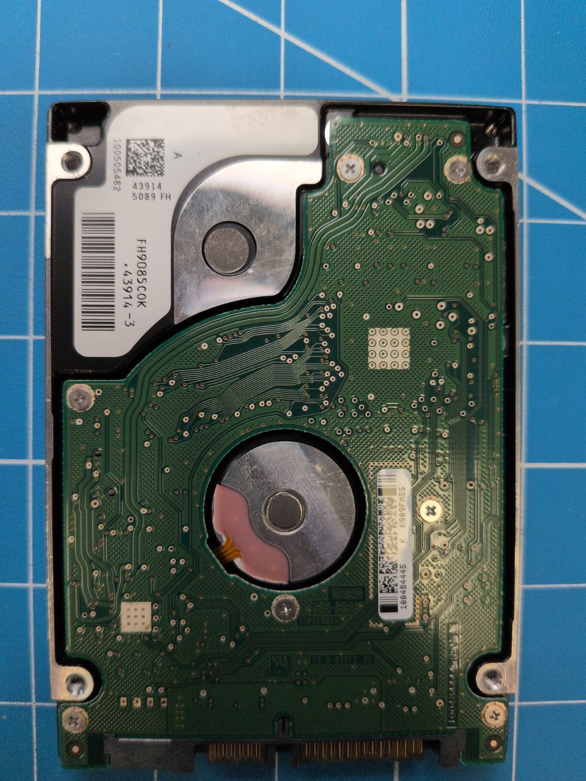 SG506 drive label (back)