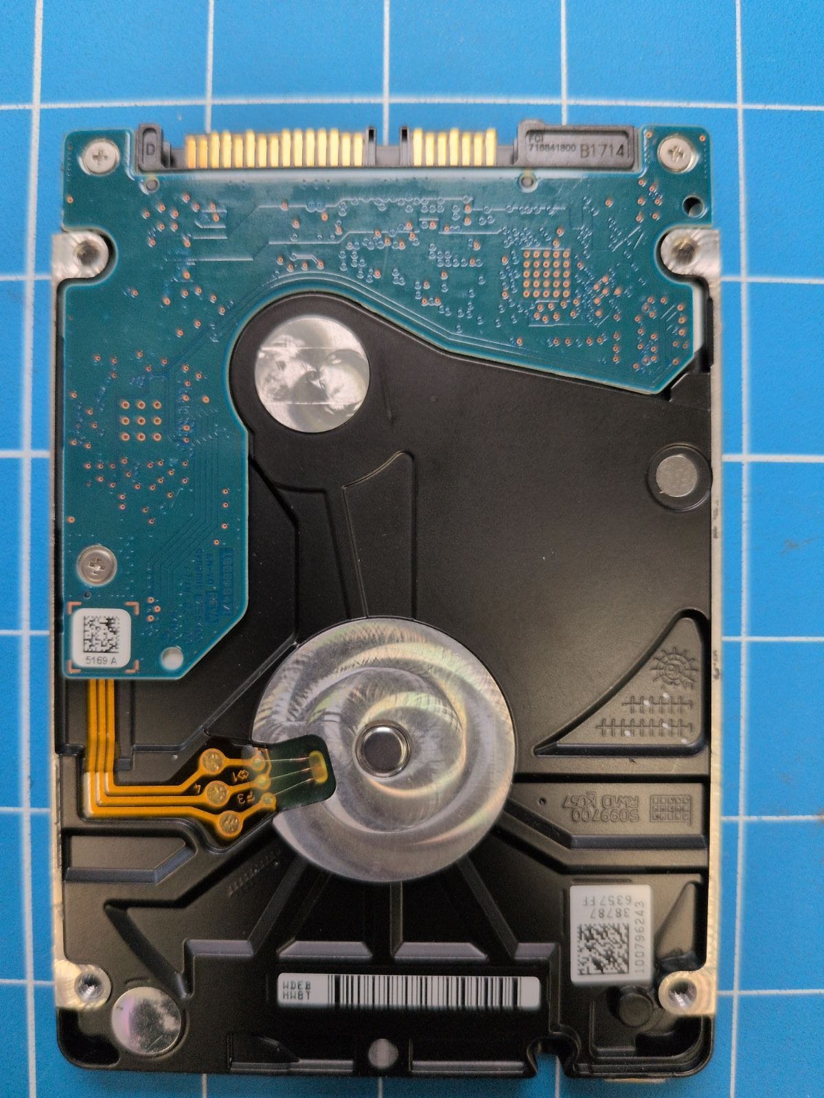 SG525 drive label (back)