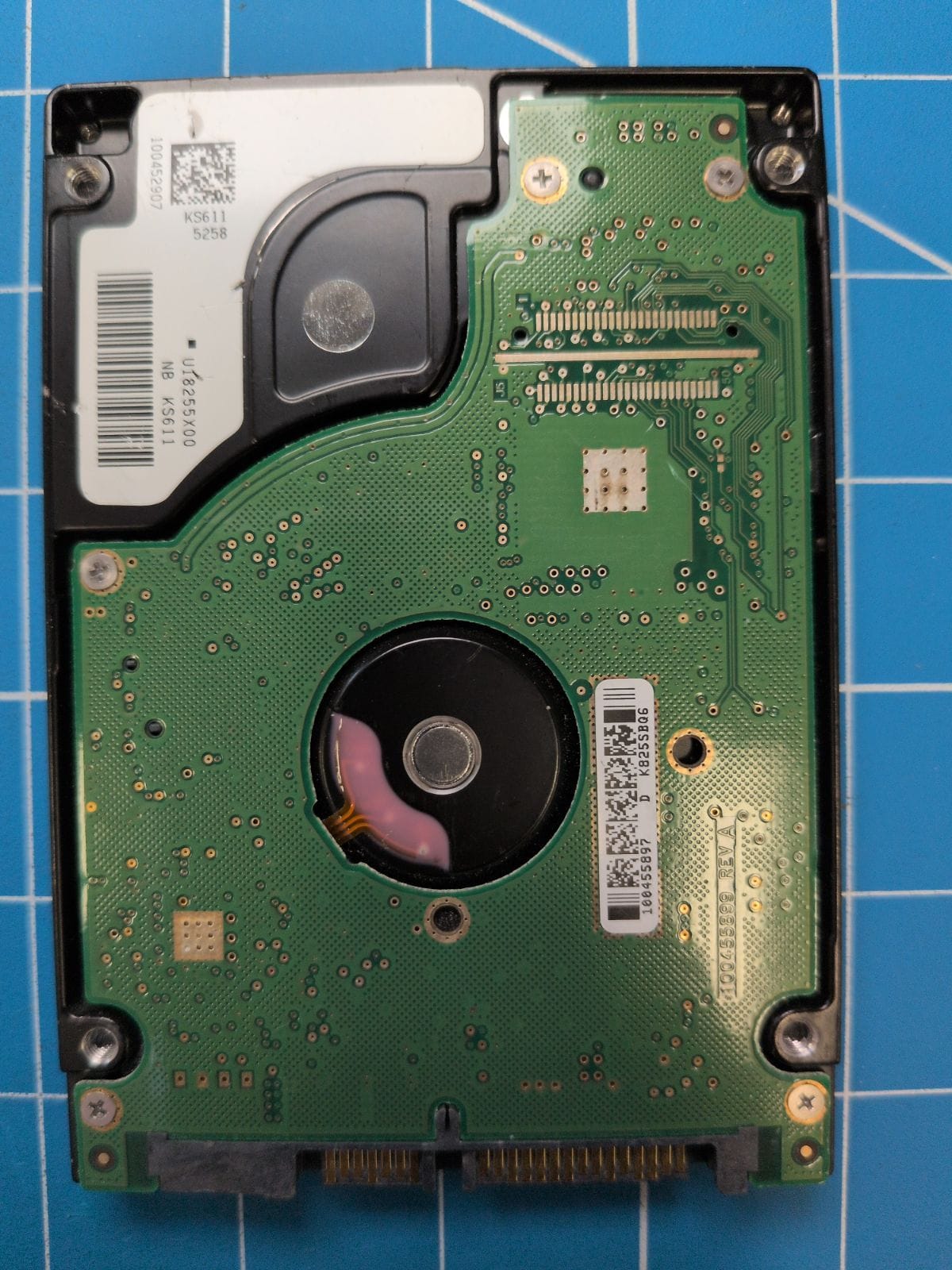 SG531 drive label (back)