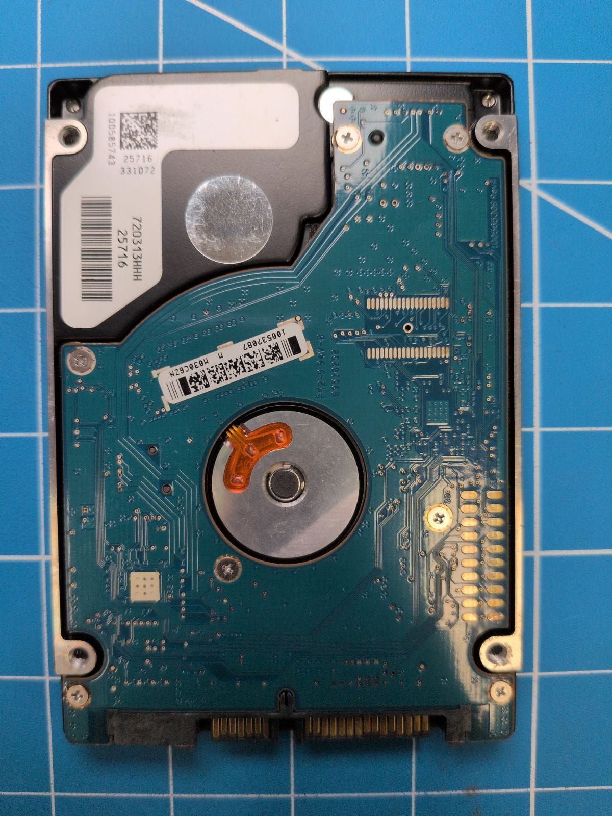 SG537 drive label (back)