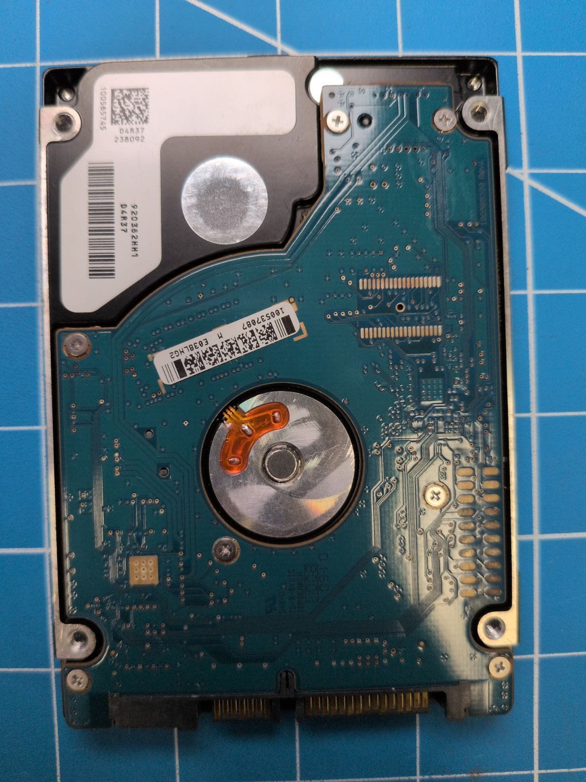 SG551 drive label (back)