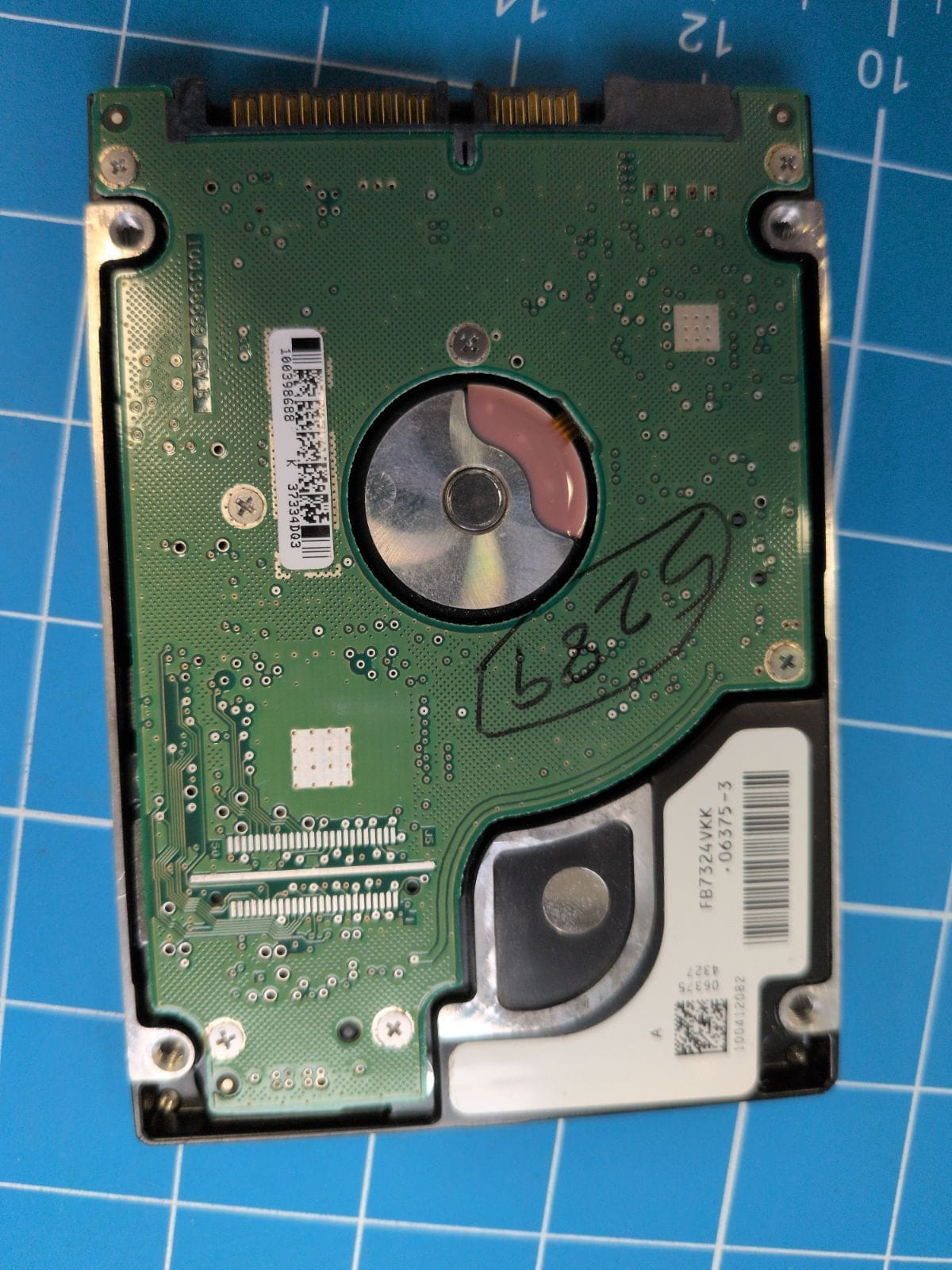 SG58 drive label (back)