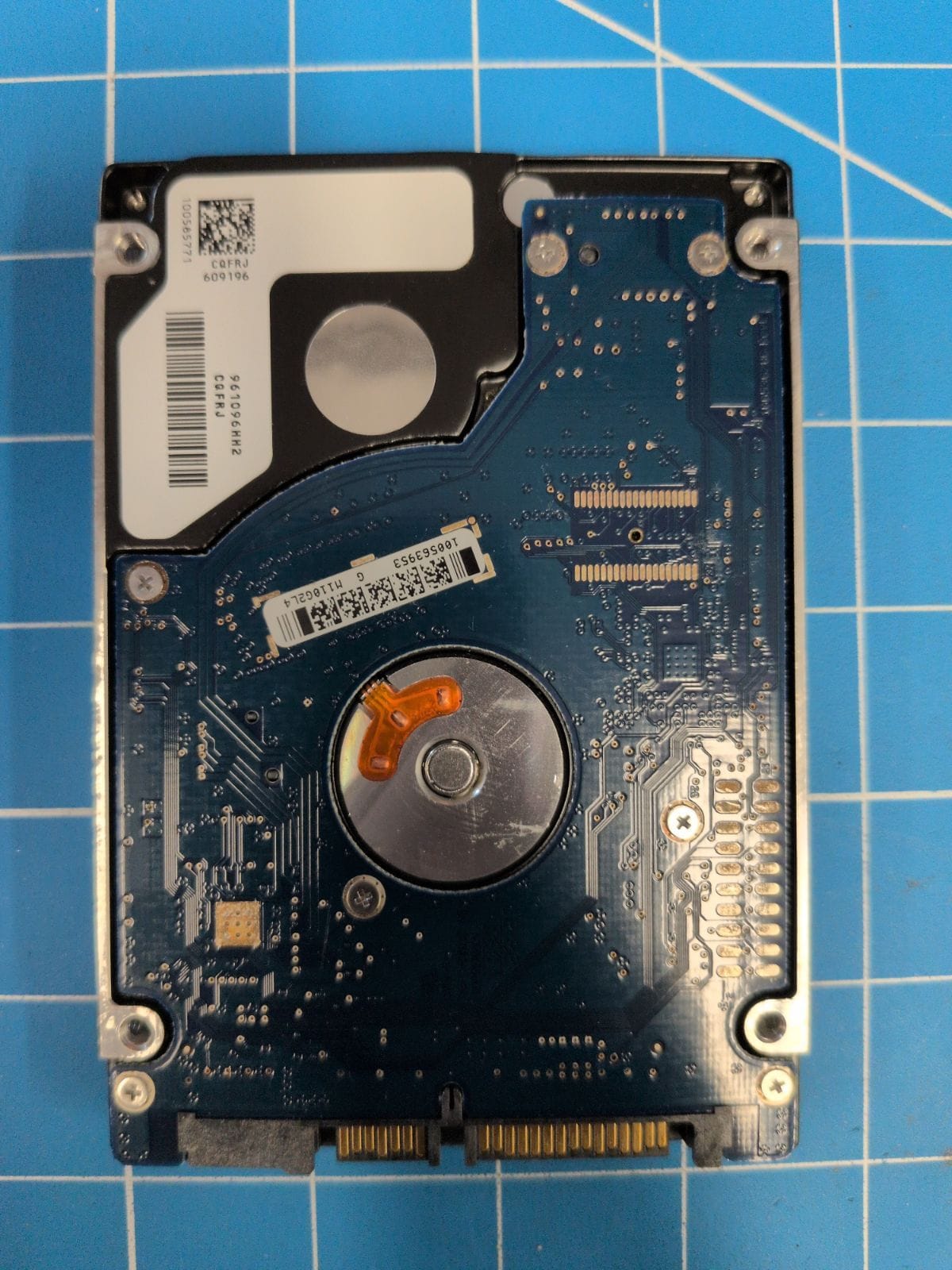 SG583 drive label (back)