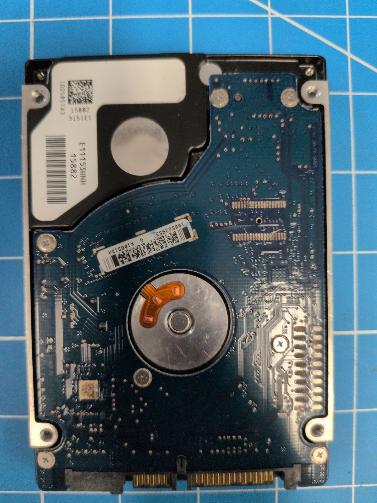 SG584 drive label (back)