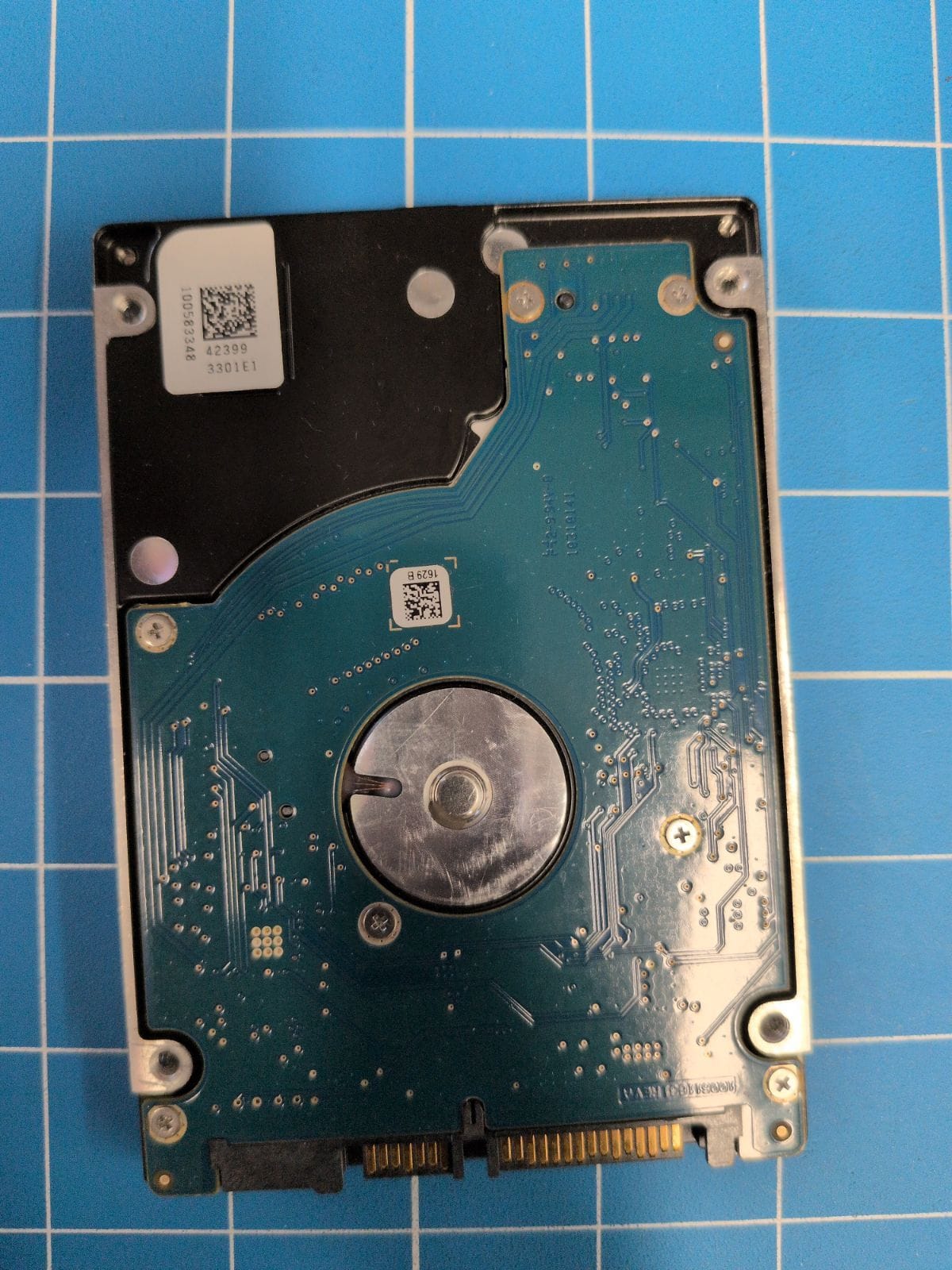SG597 drive label (back)