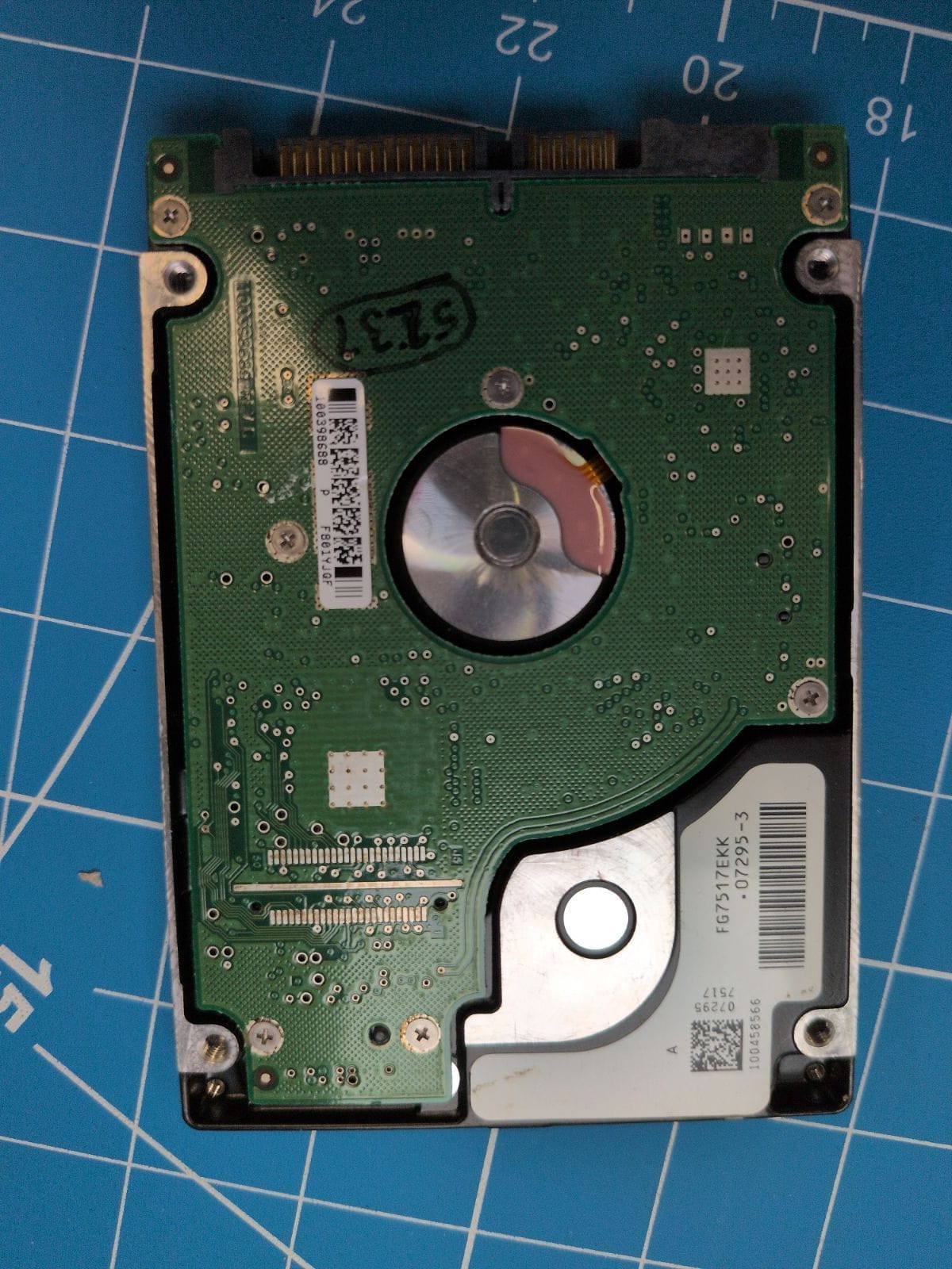SG6 drive label (back)