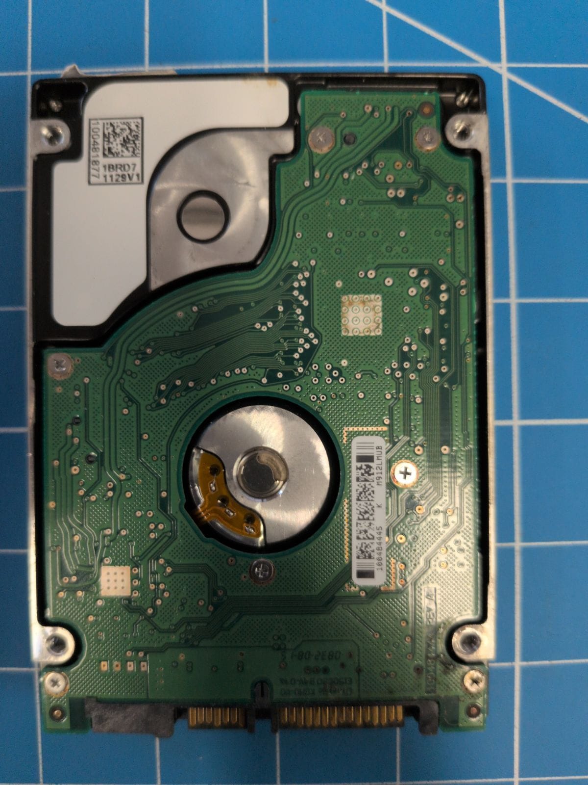 SG607 drive label (back)