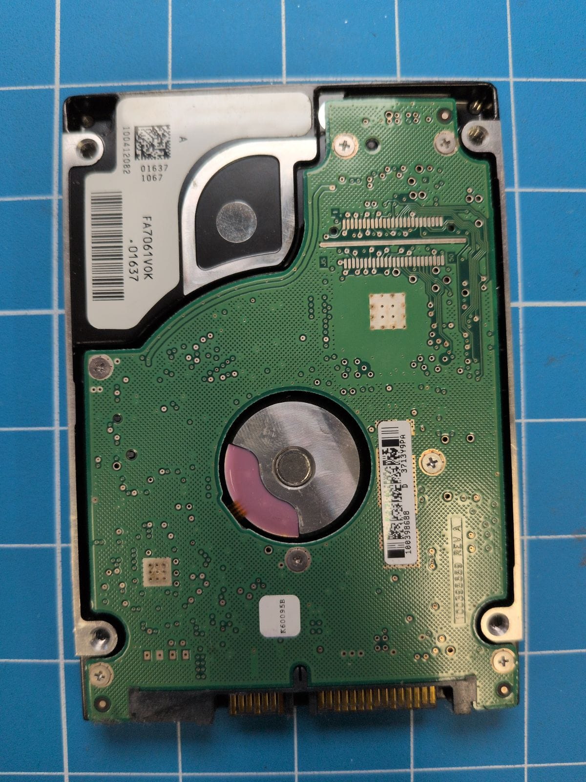 SG621 drive label (back)