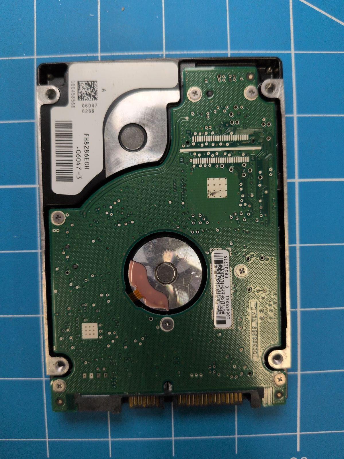 SG623 drive label (back)