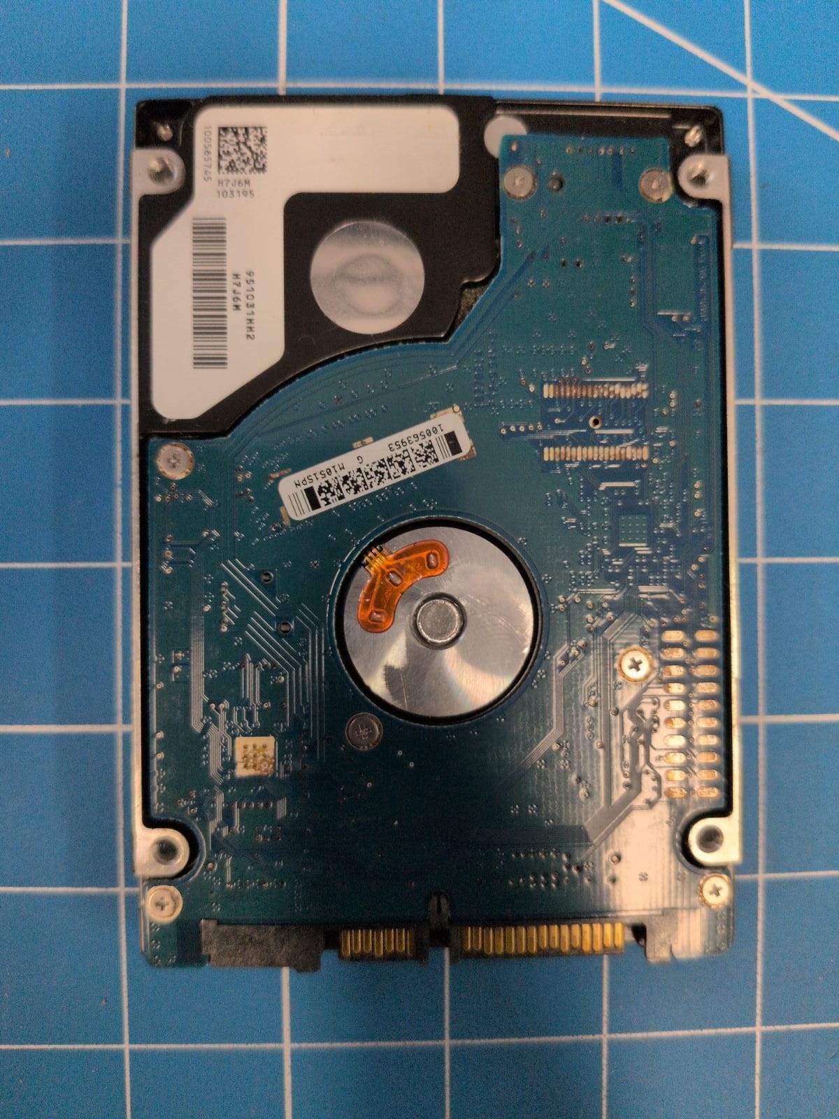 SG654 drive label (back)