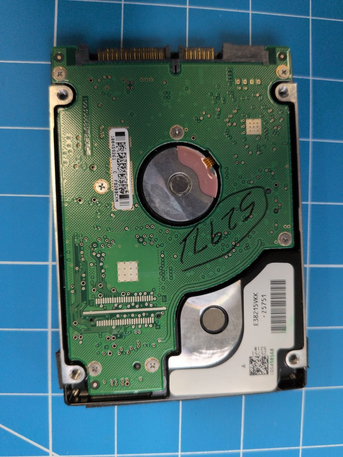 SG66 drive label (back)