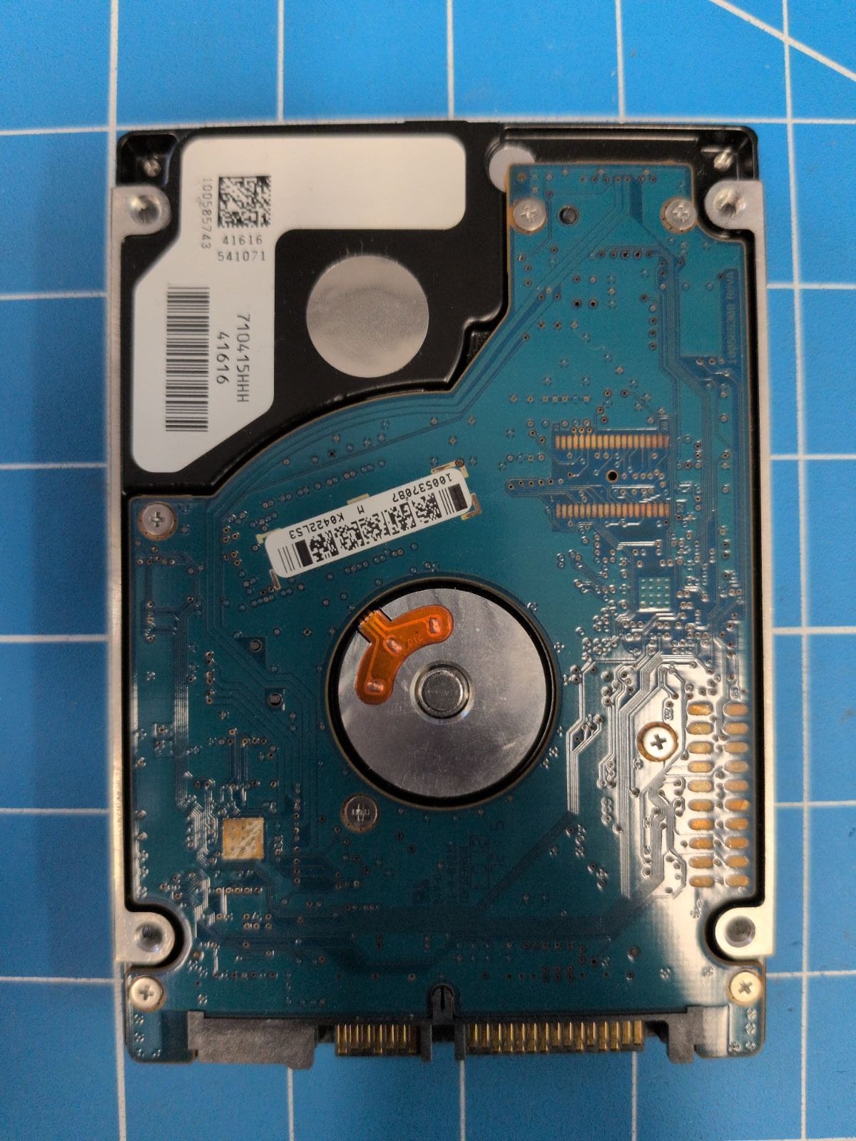 SG667 drive label (back)
