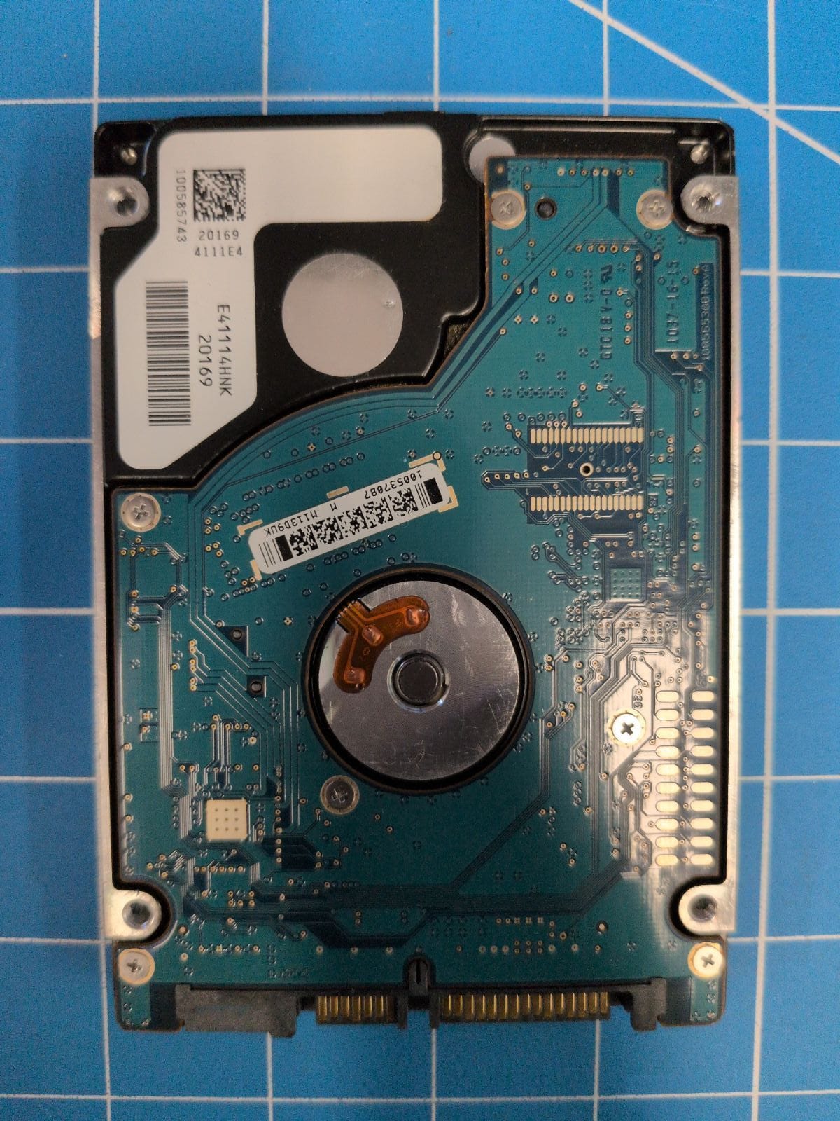 SG669 drive label (back)