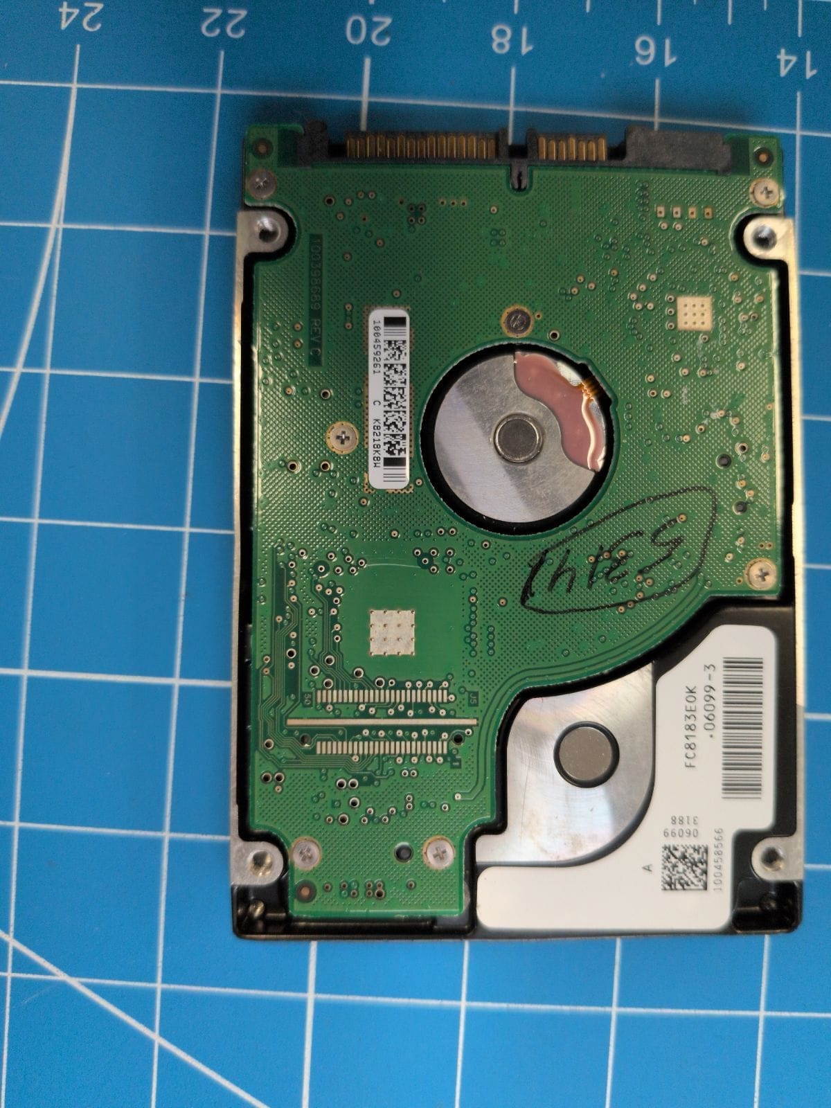 SG83 drive label (back)
