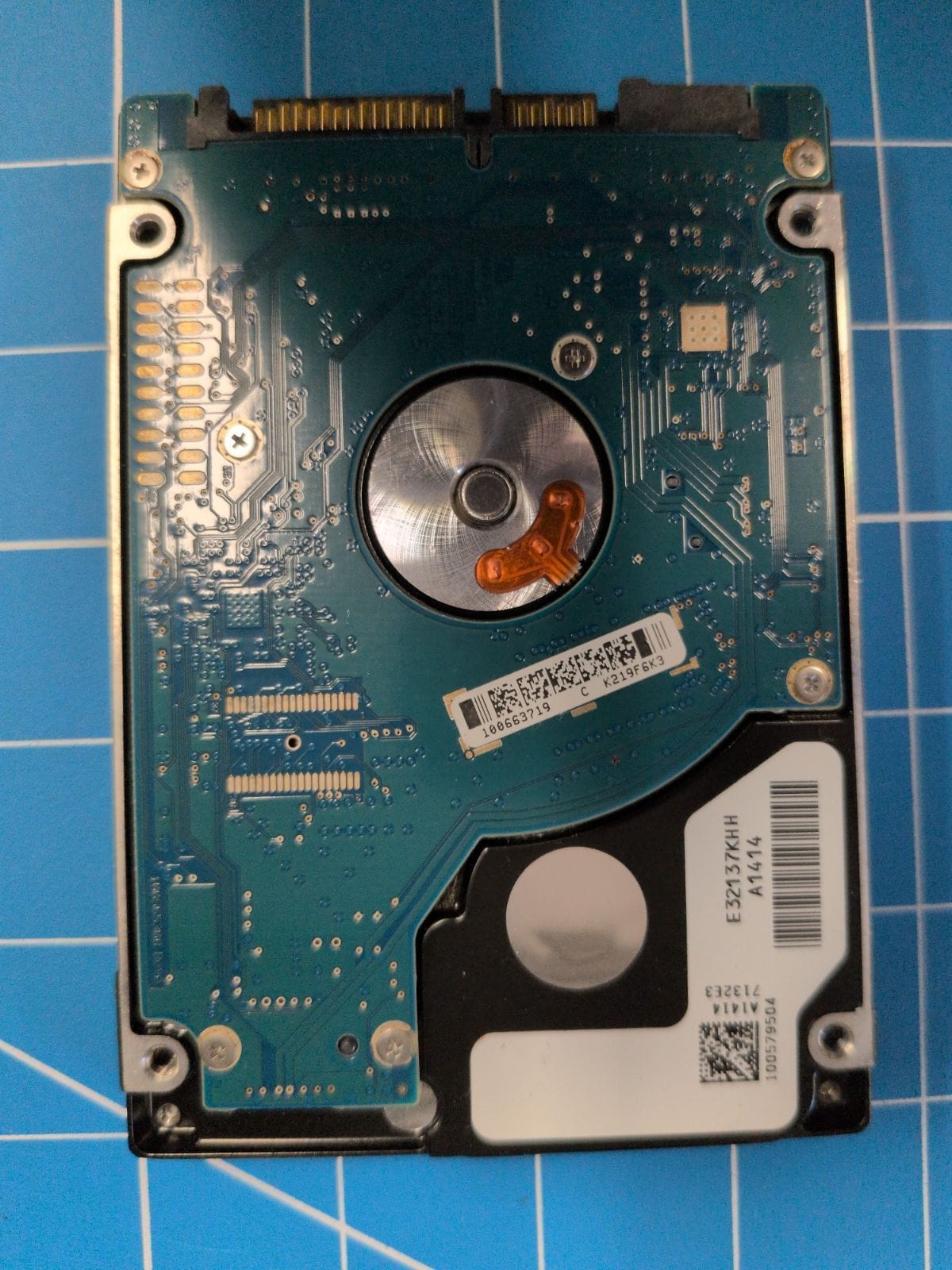 SG88 drive label (back)