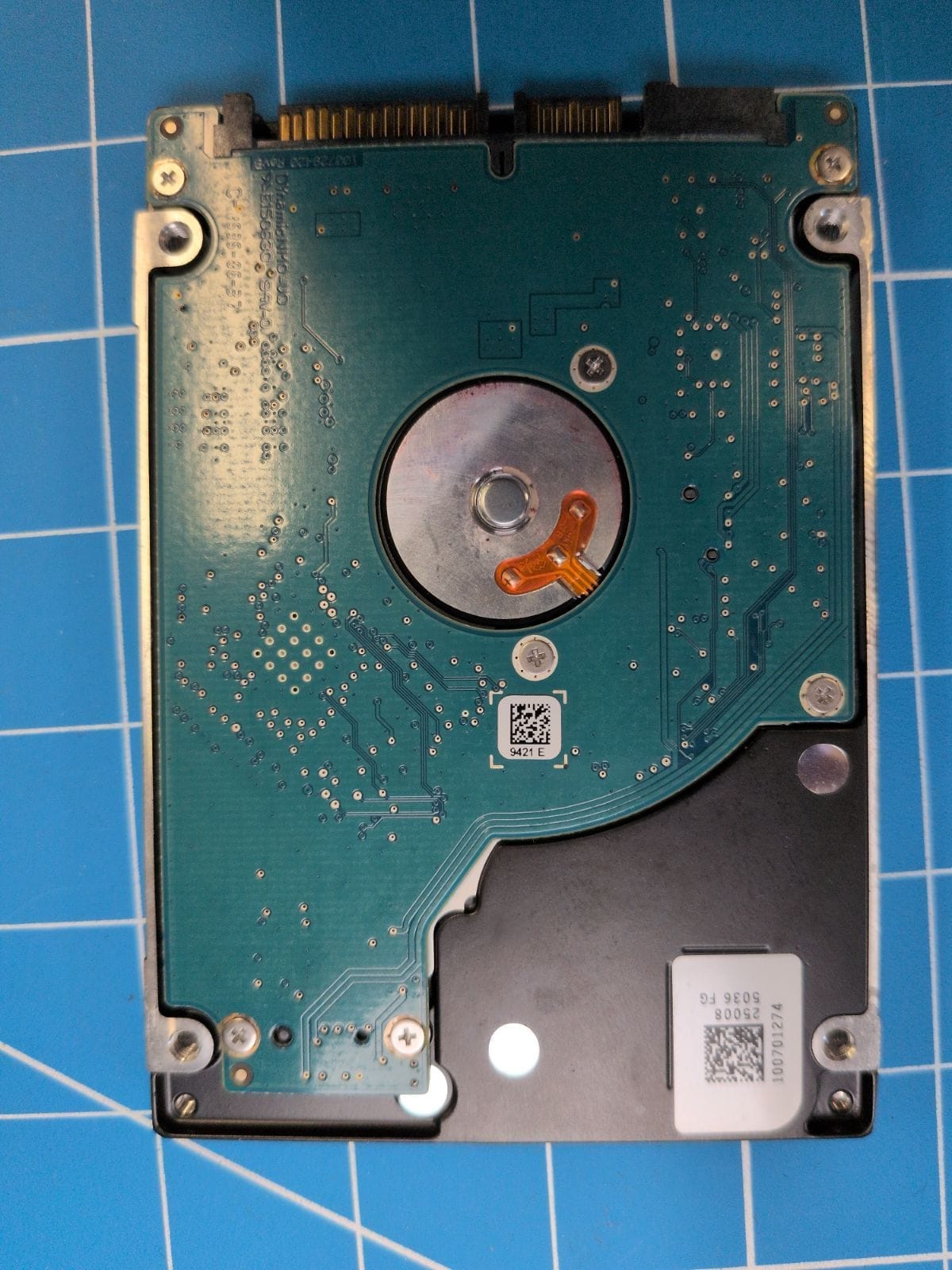 SG95 drive label (back)