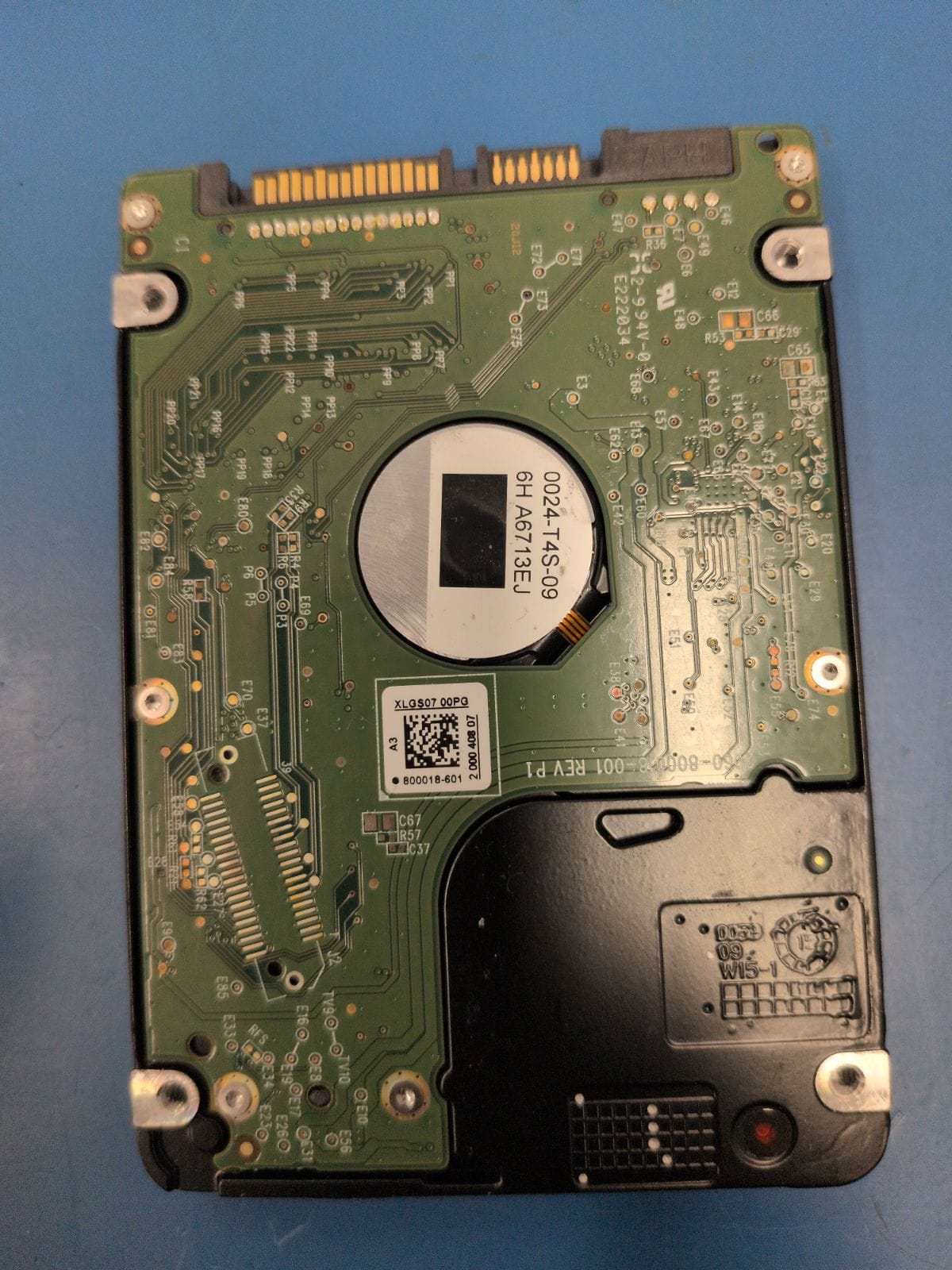 WD145 drive label (back)