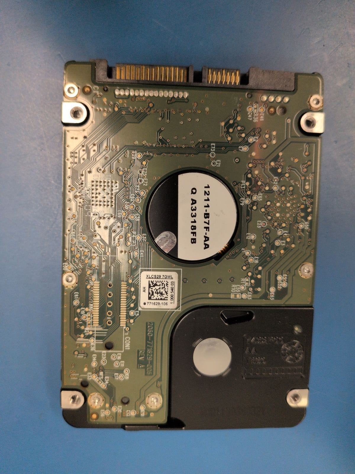 WD159 drive label (back)