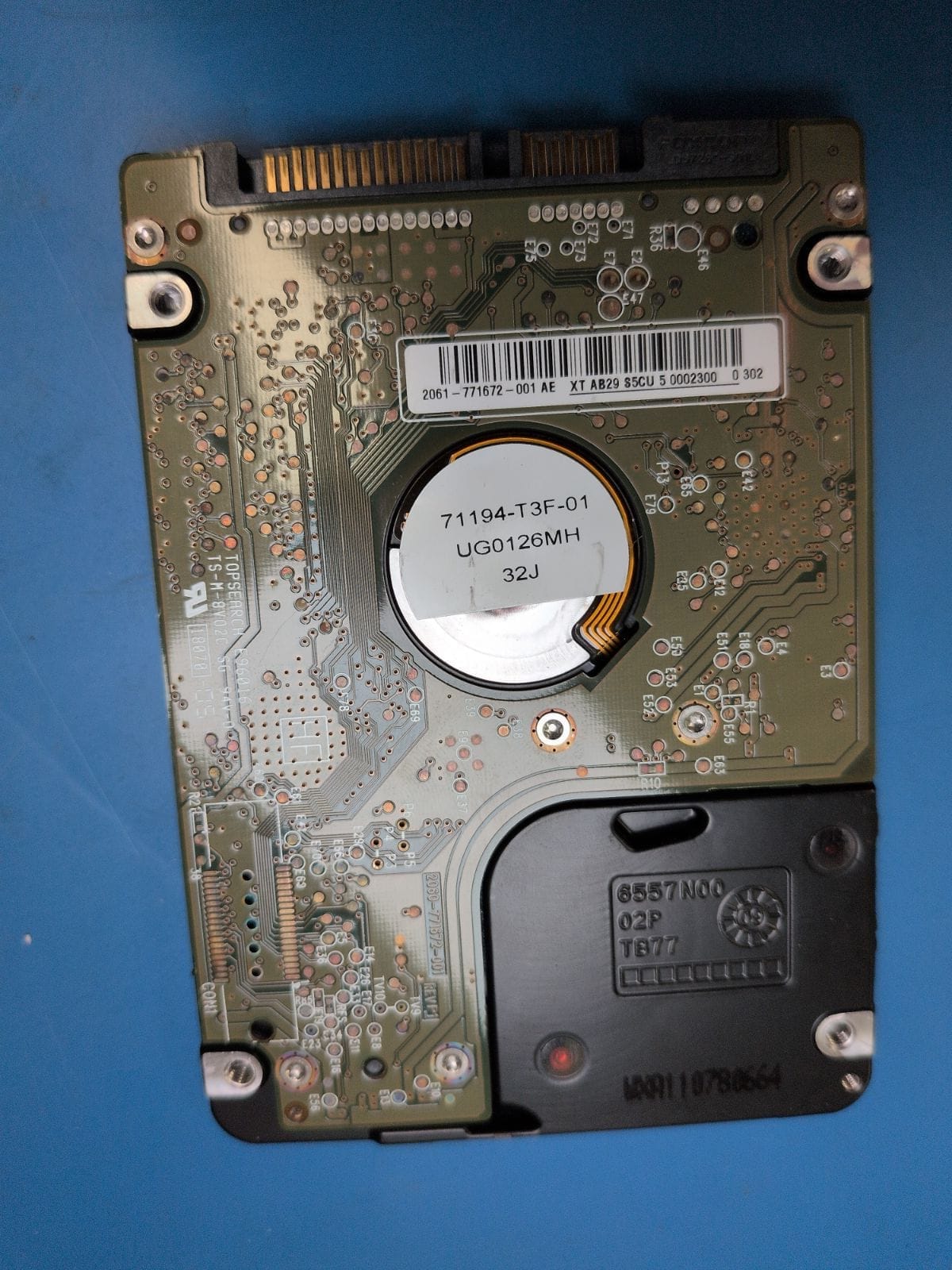 WD173 drive label (back)