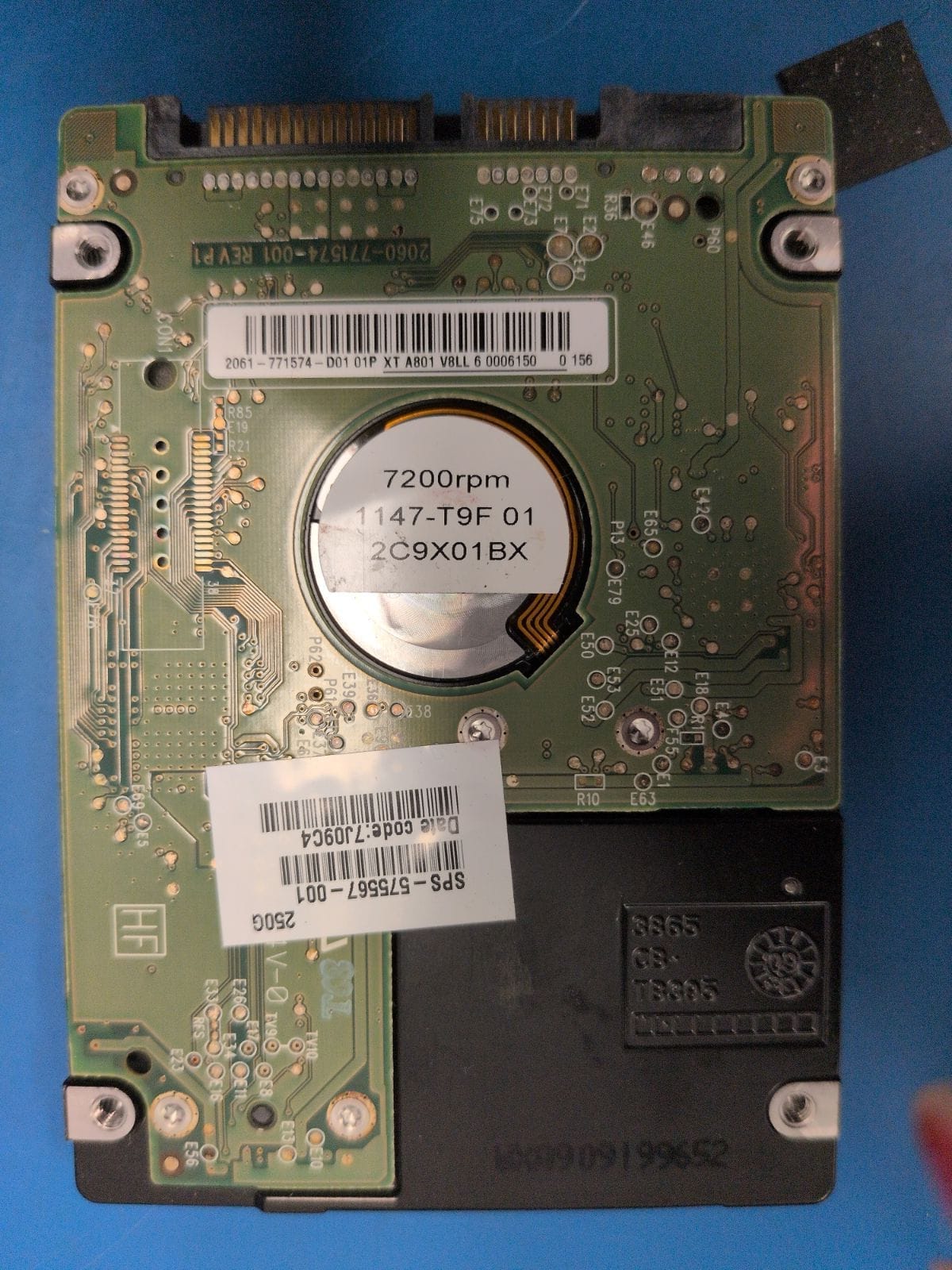WD41 drive label (back)