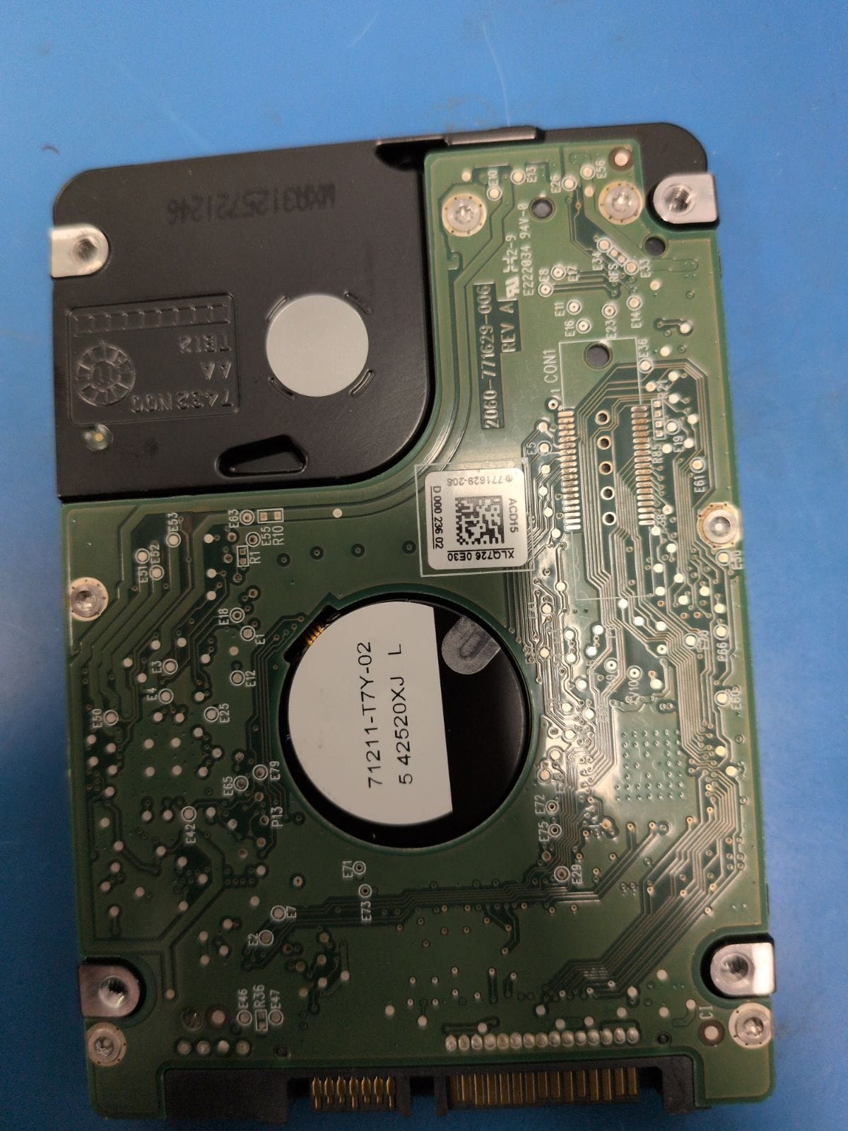 WD427 drive label (back)