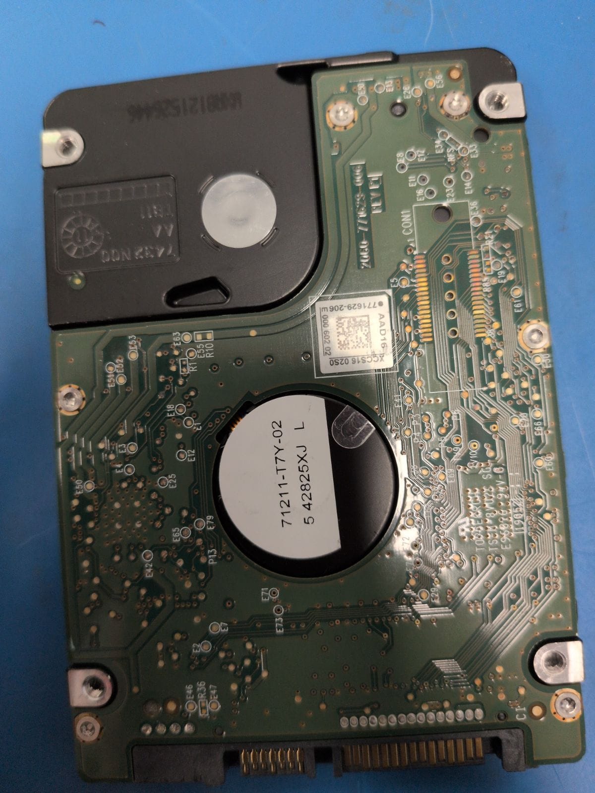 WD430 drive label (back)
