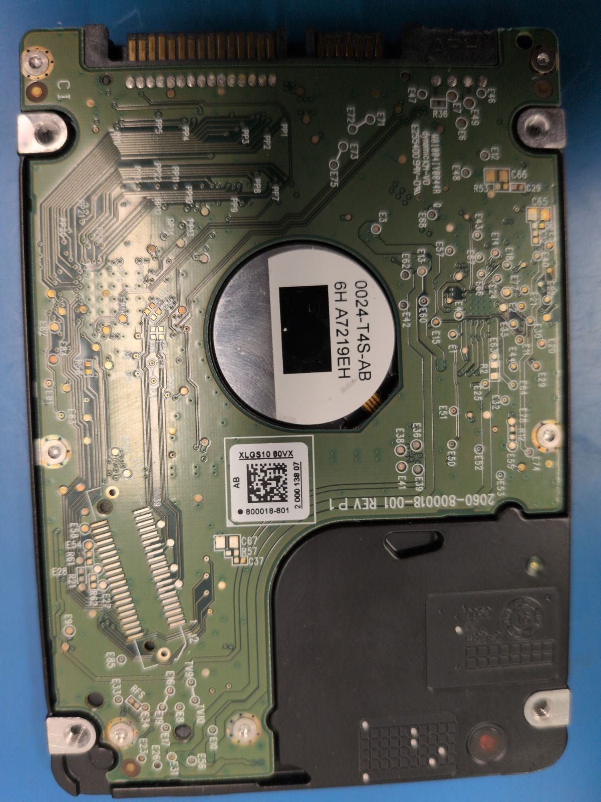 WD62 drive label (back)