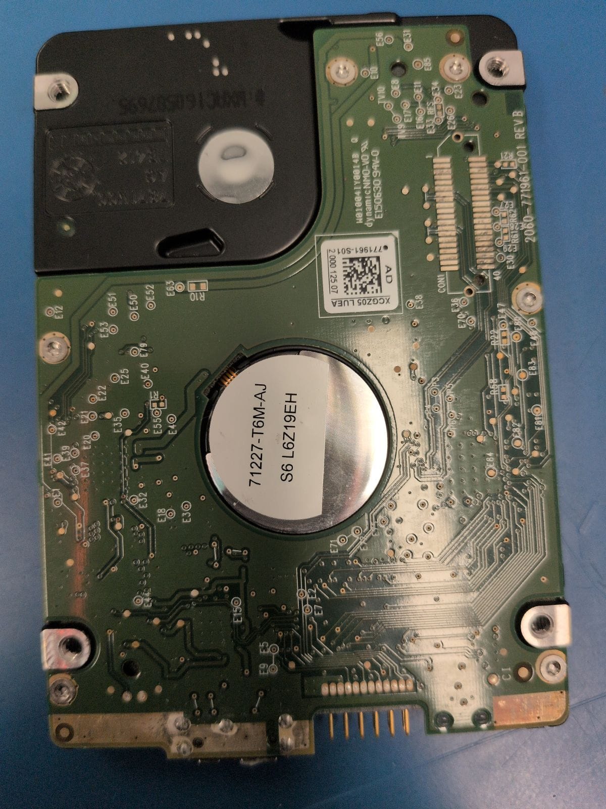 WD66 drive label (back)